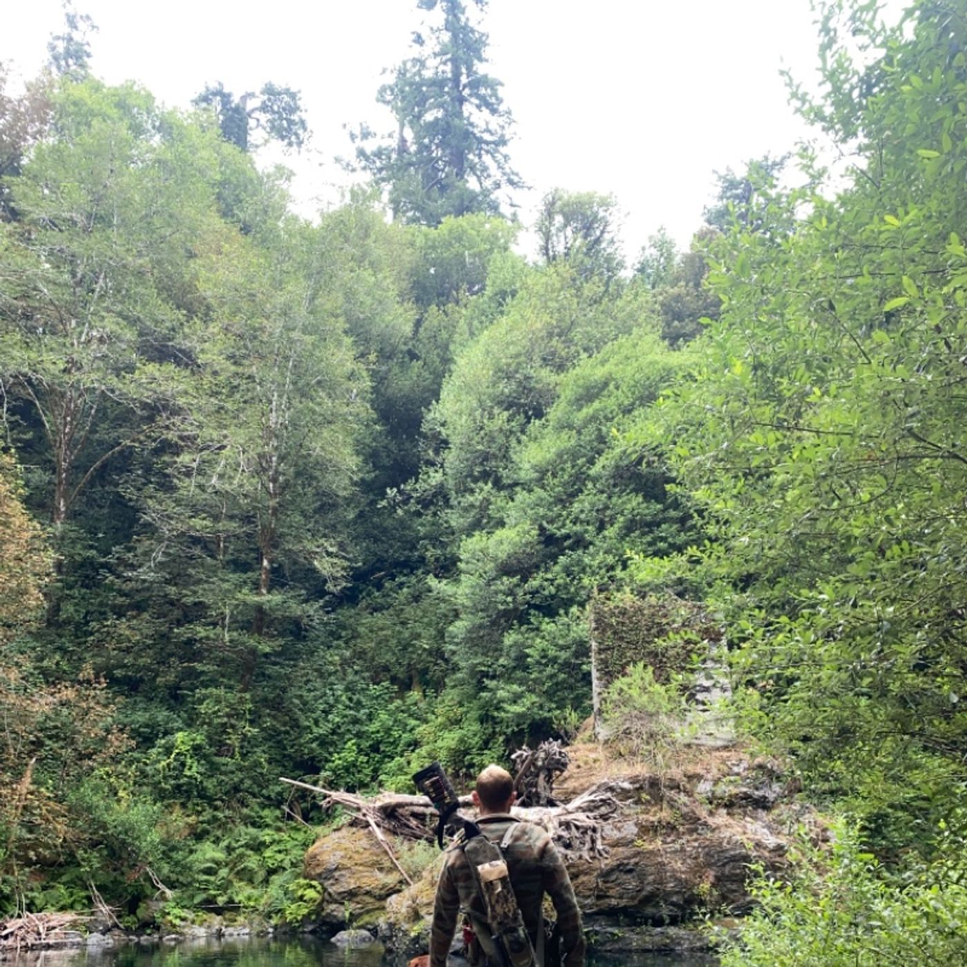 Psalm 23  - a Short Reading of a Beautiful Psalm