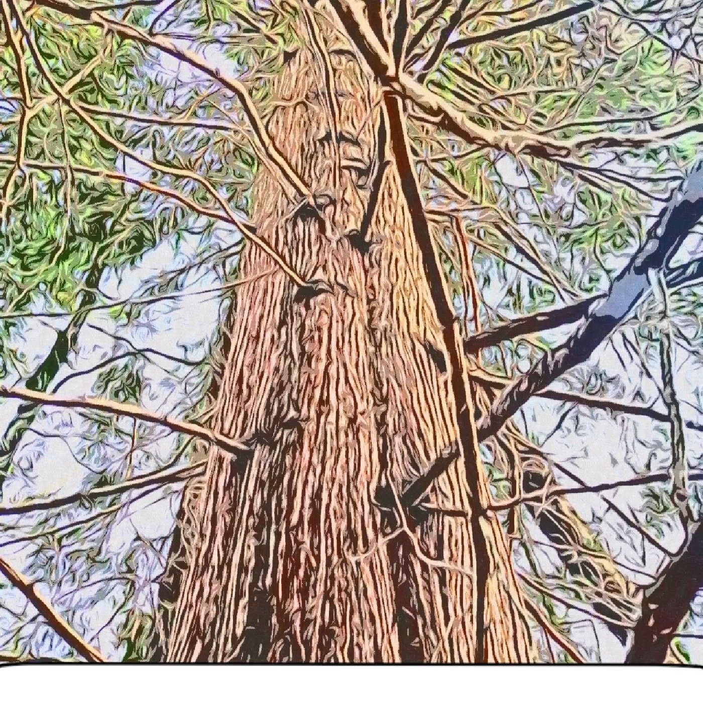 Tress And Mouldy Bannas