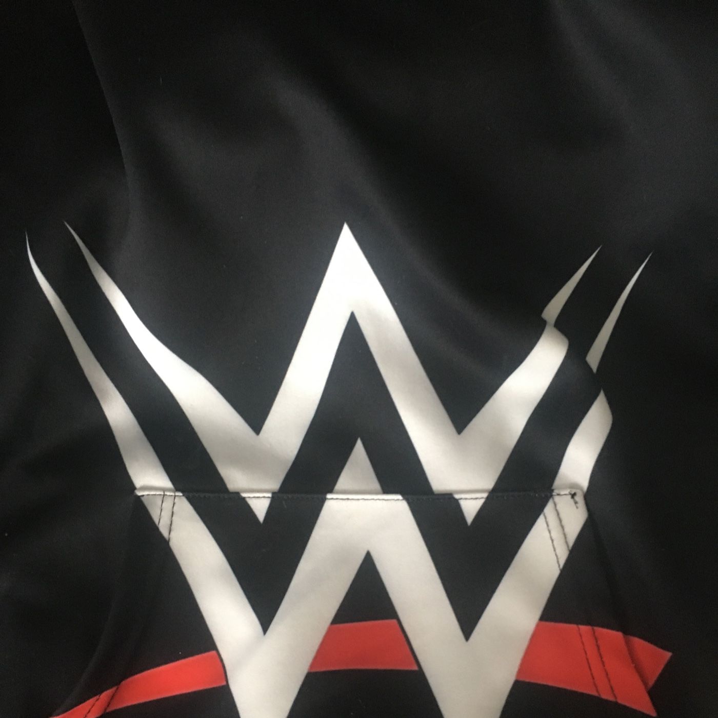 The kids WWE Podcast