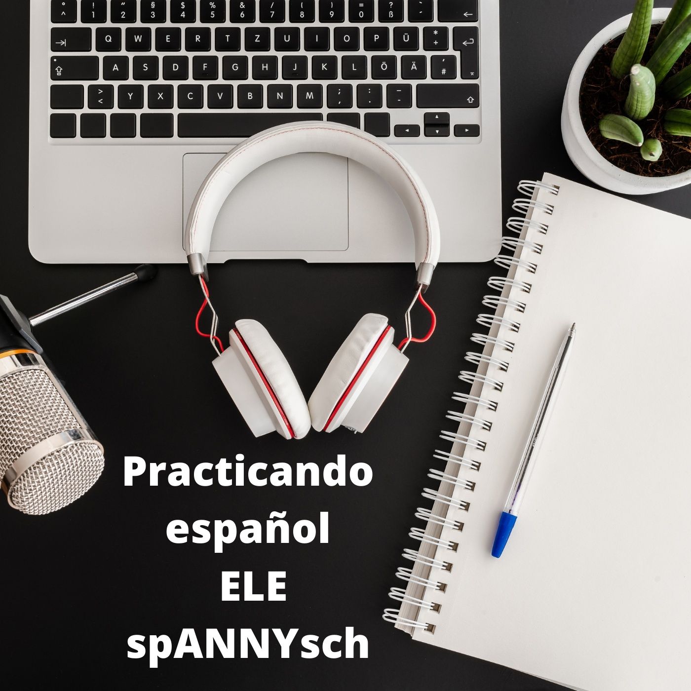 Practicando español ELE