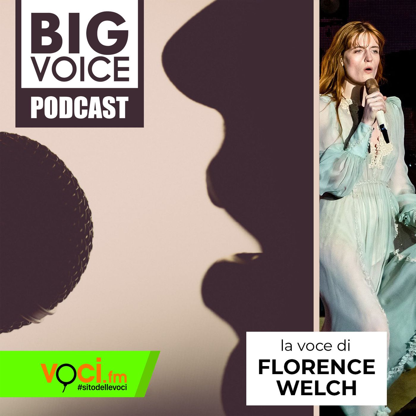 BIG VOICE PODCAST: Florence Welch - clicca play e ascolta il podcast episode artwork