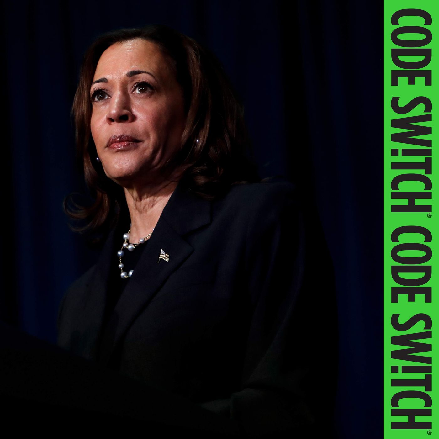 Kamala Harris, Revisited episode artwork