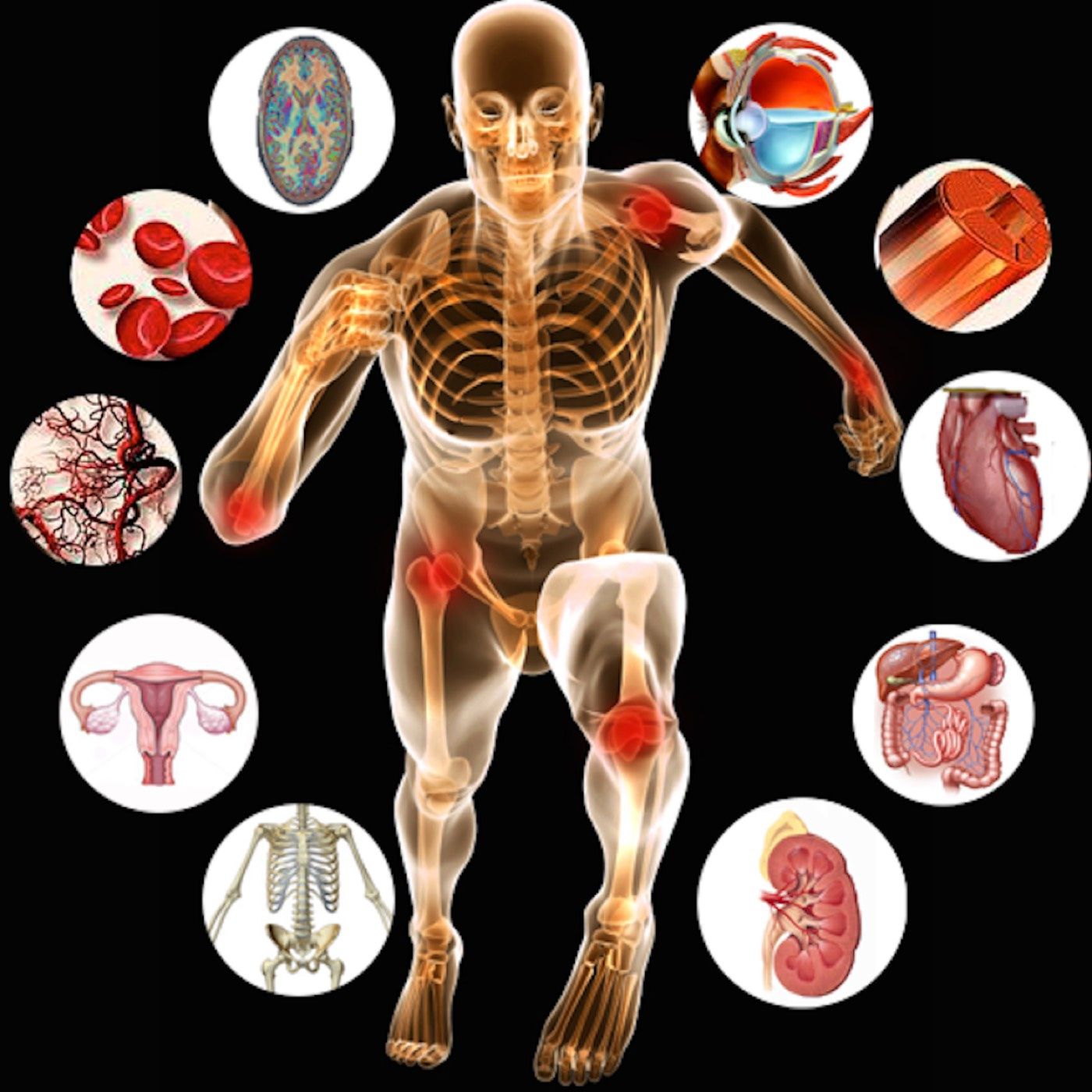 anesthesia - physiology and concepts