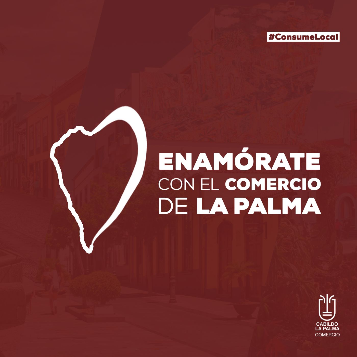 Declaraciones Cabildo de La Palma