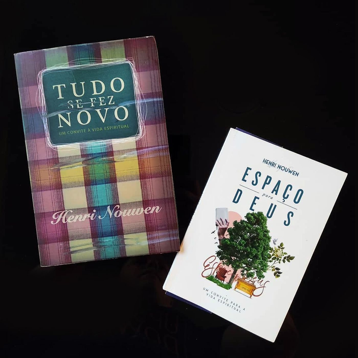 475: Espaço para Deus | Tudo se fez novo – Henri Nouwen – Literário 035 episode artwork