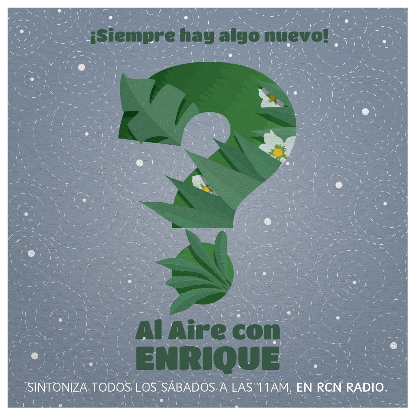 Al aire con Enrique