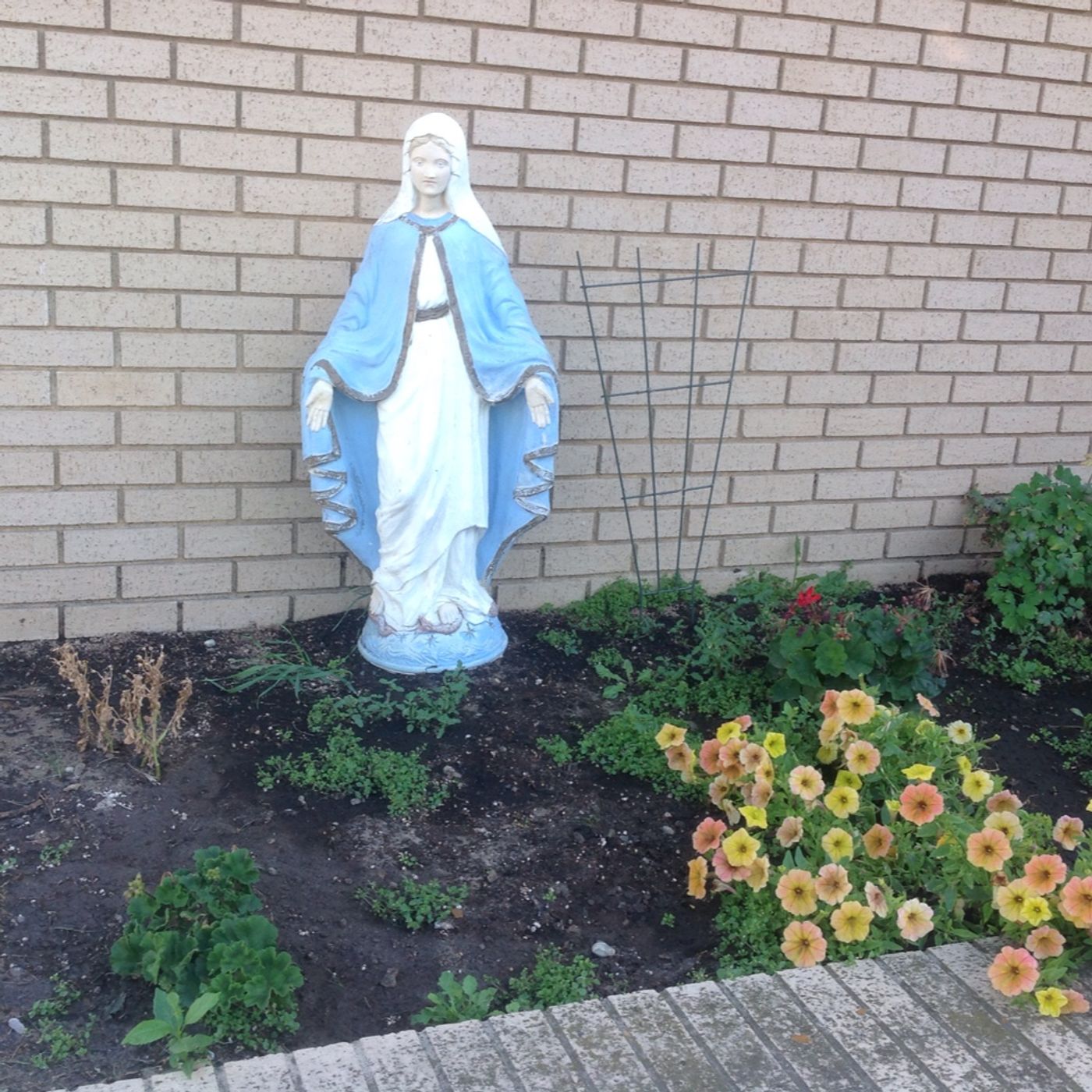 Rev Fr Patrick Ojedeji's Homily cover art