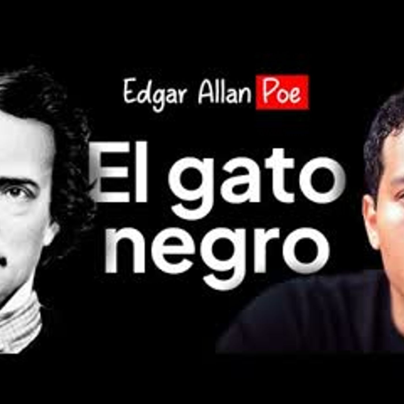 Un gato, un hacha y un hombre atormentado   El gato negro de Edgar Allan Poe   Resumen y análisis