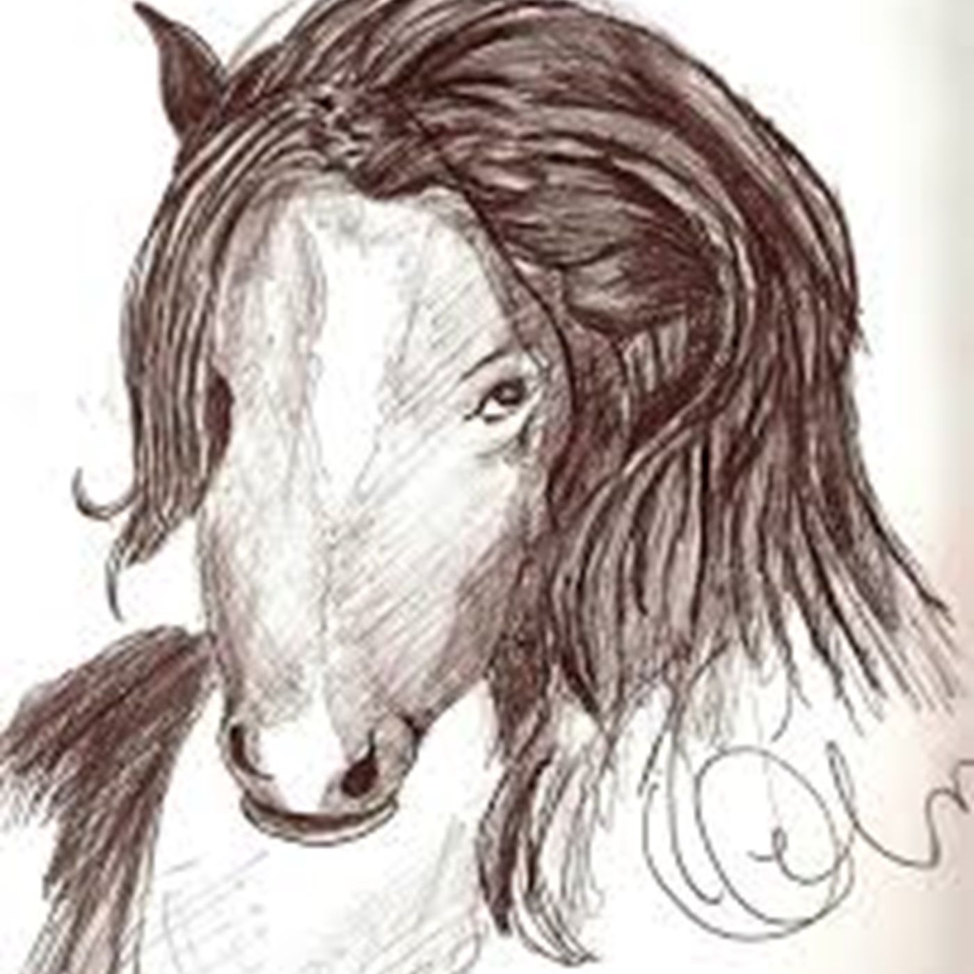 Besos de Terciopelo - Leyendas, mitos y tradiciones de Guatemala - Por: Diosma Patricia Davis*Argentina desde RAO de Iván Cosme de México. episode artwork