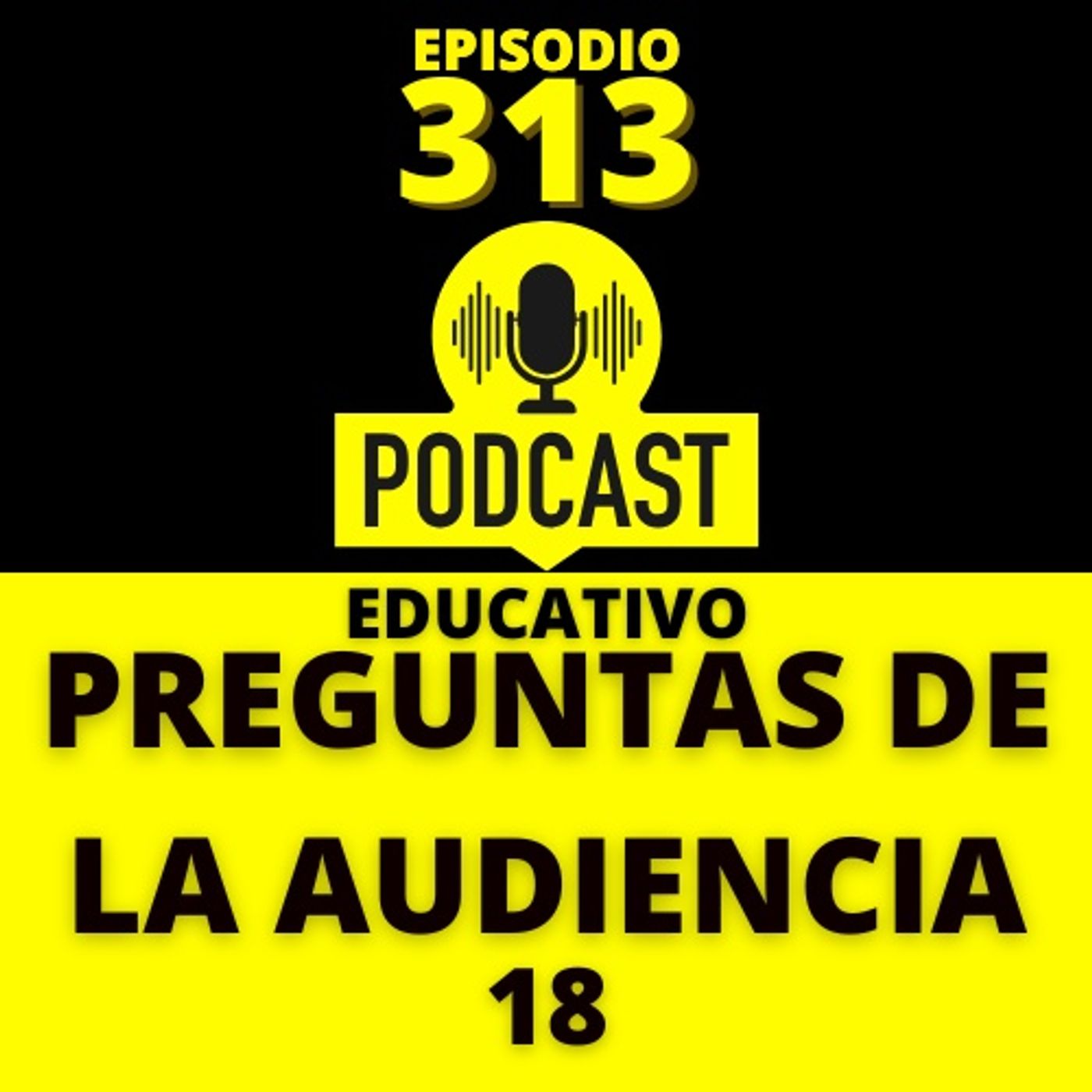 313 - Preguntas de la audiencia (18)