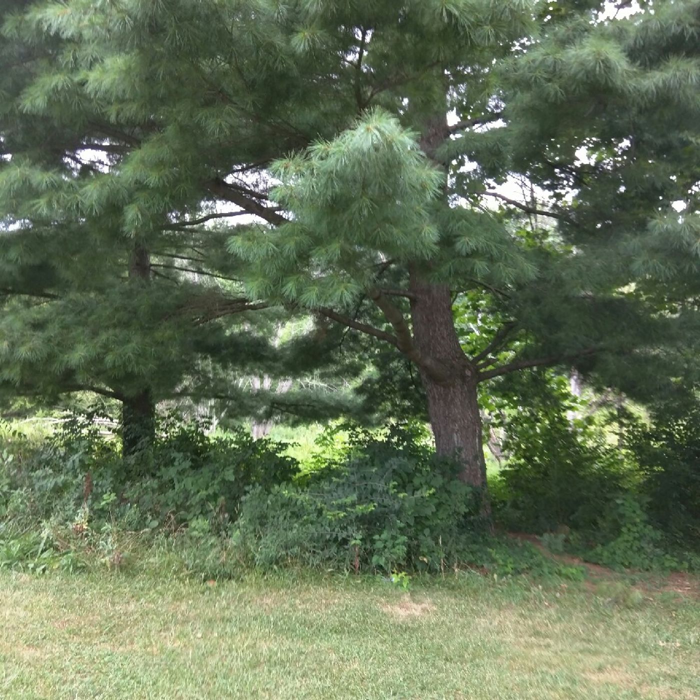 On Mile 3