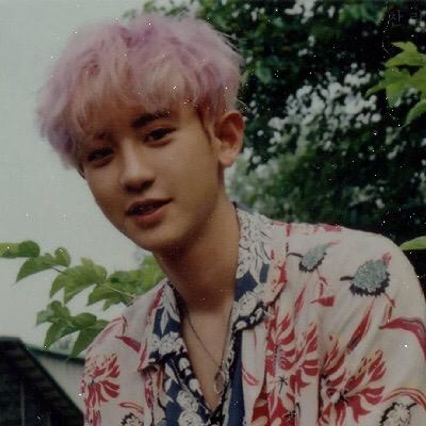 park chanyeol, covers.