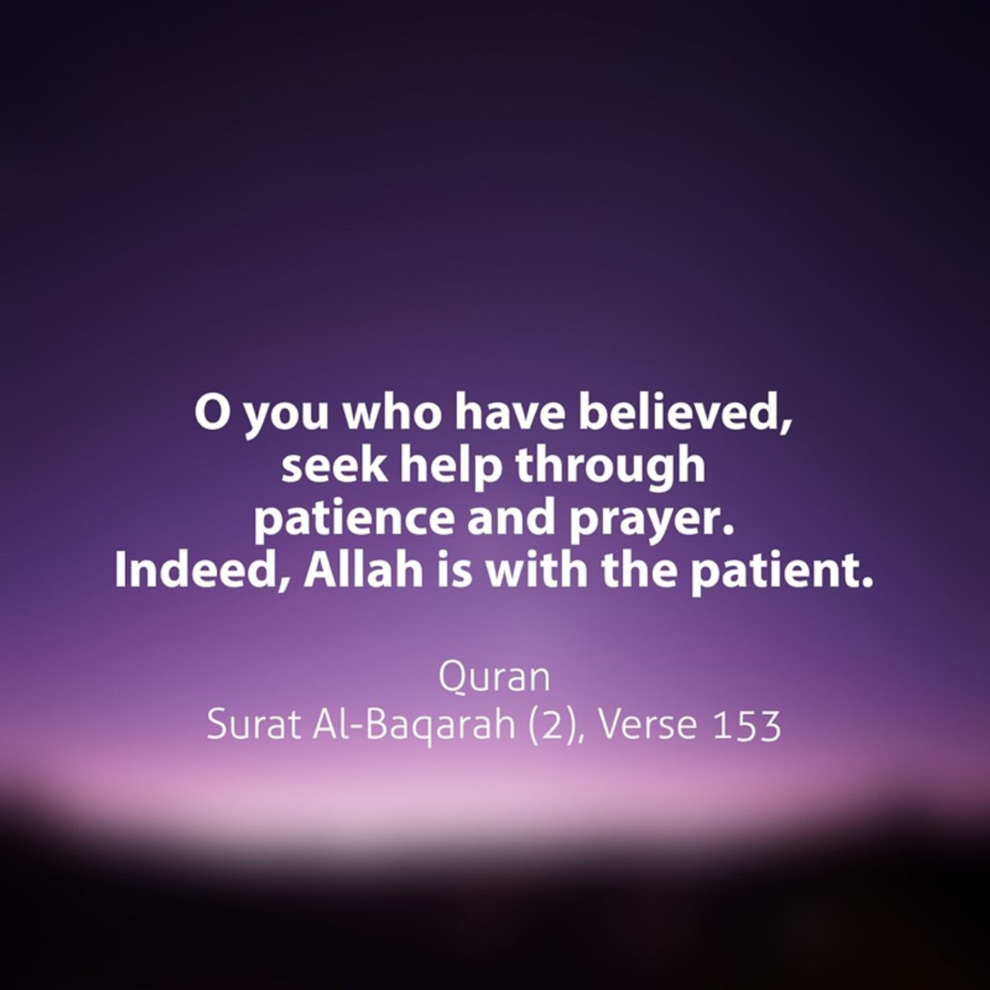 Khutbahs and Lectures