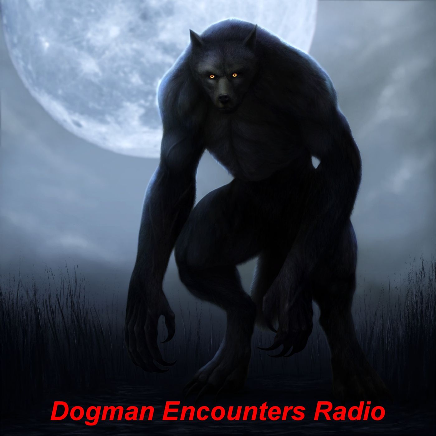(Bonus Introductory Episode) Dogman Encounters Episode 257 (I’m Looking at a Werewolf!)