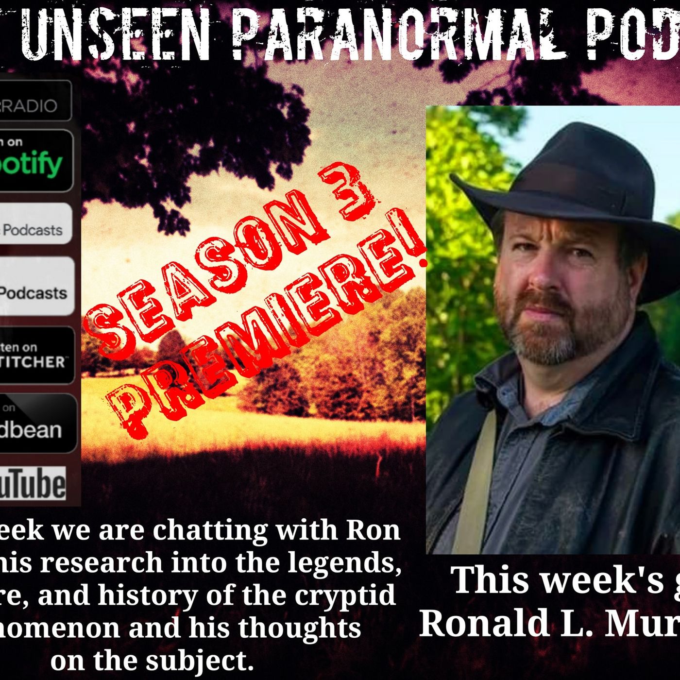 The Unseen Paranormal Podcast