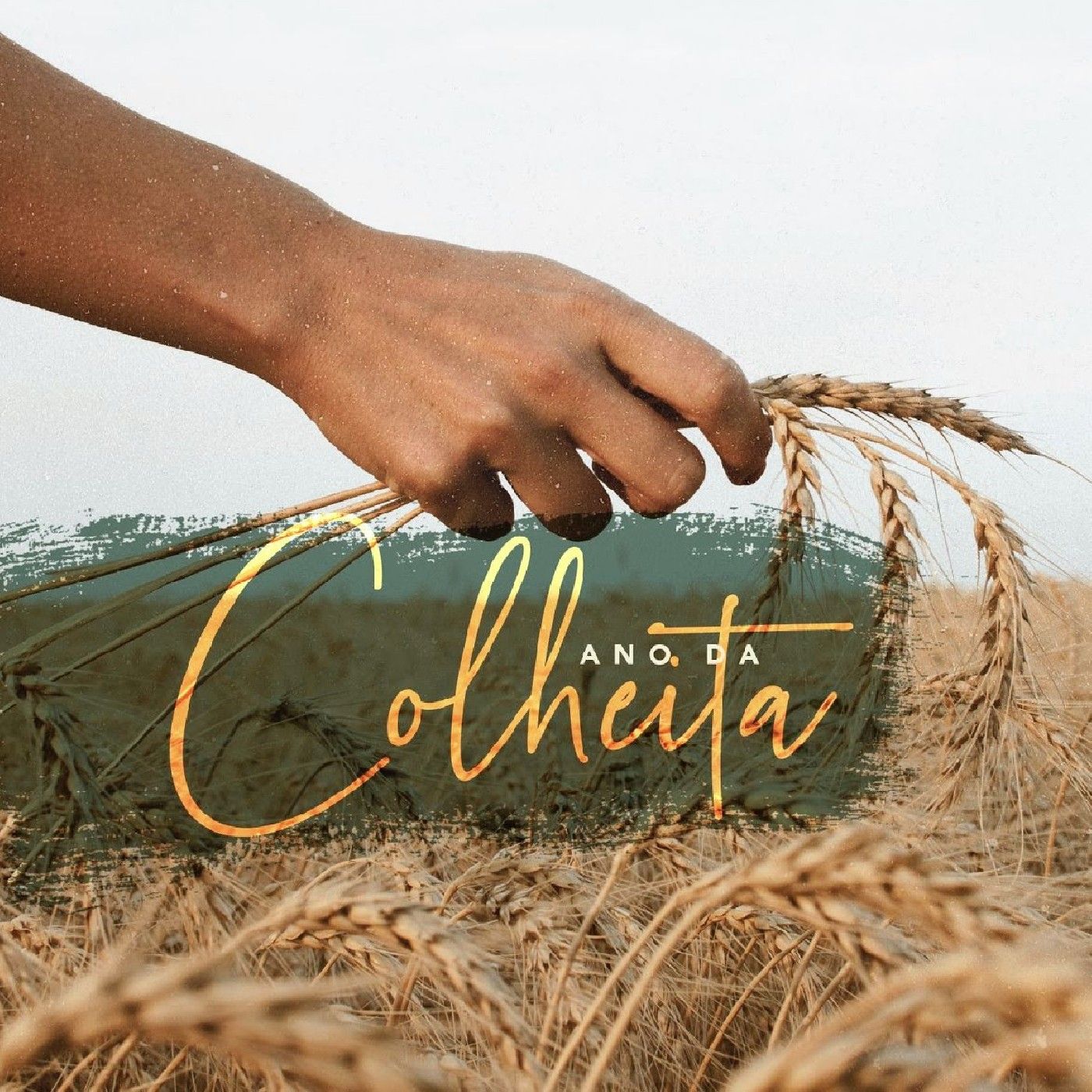 Programa A Colheita