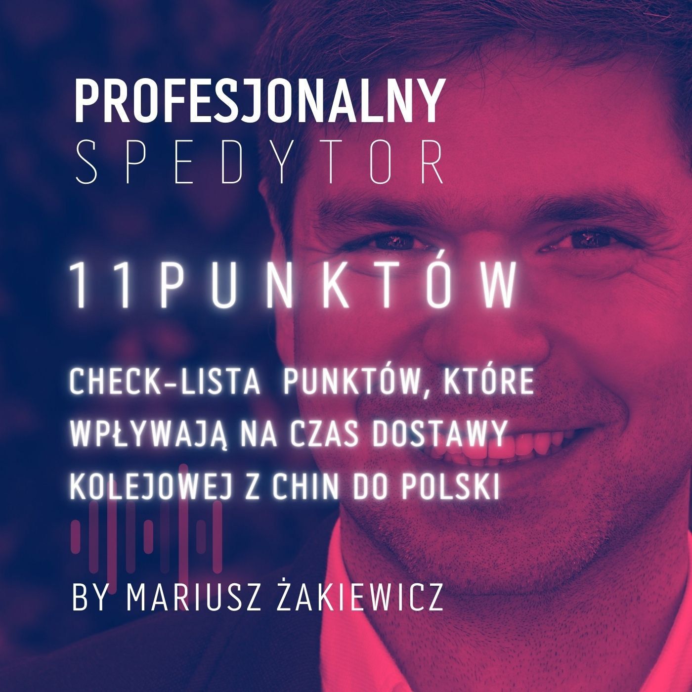 Profesjonalny Spedytor