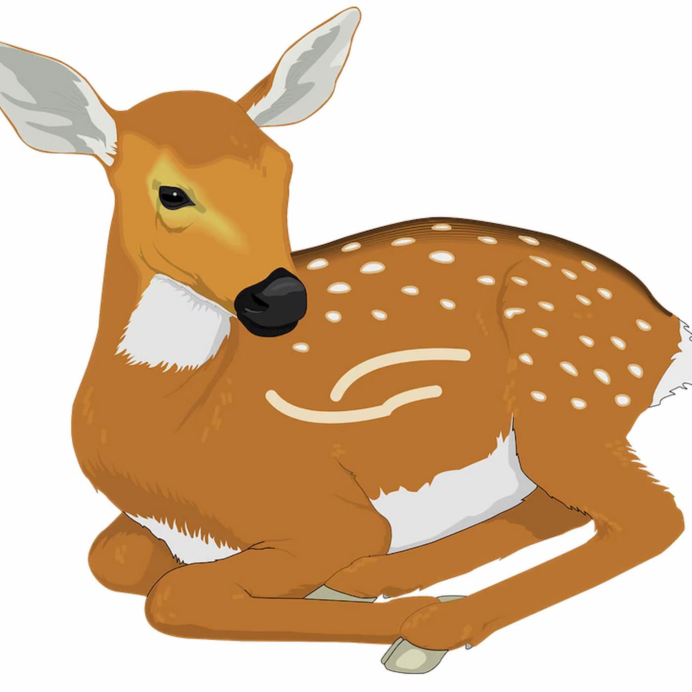 The Frog, Fox, Lion and Deer | Animal Stories episode artwork