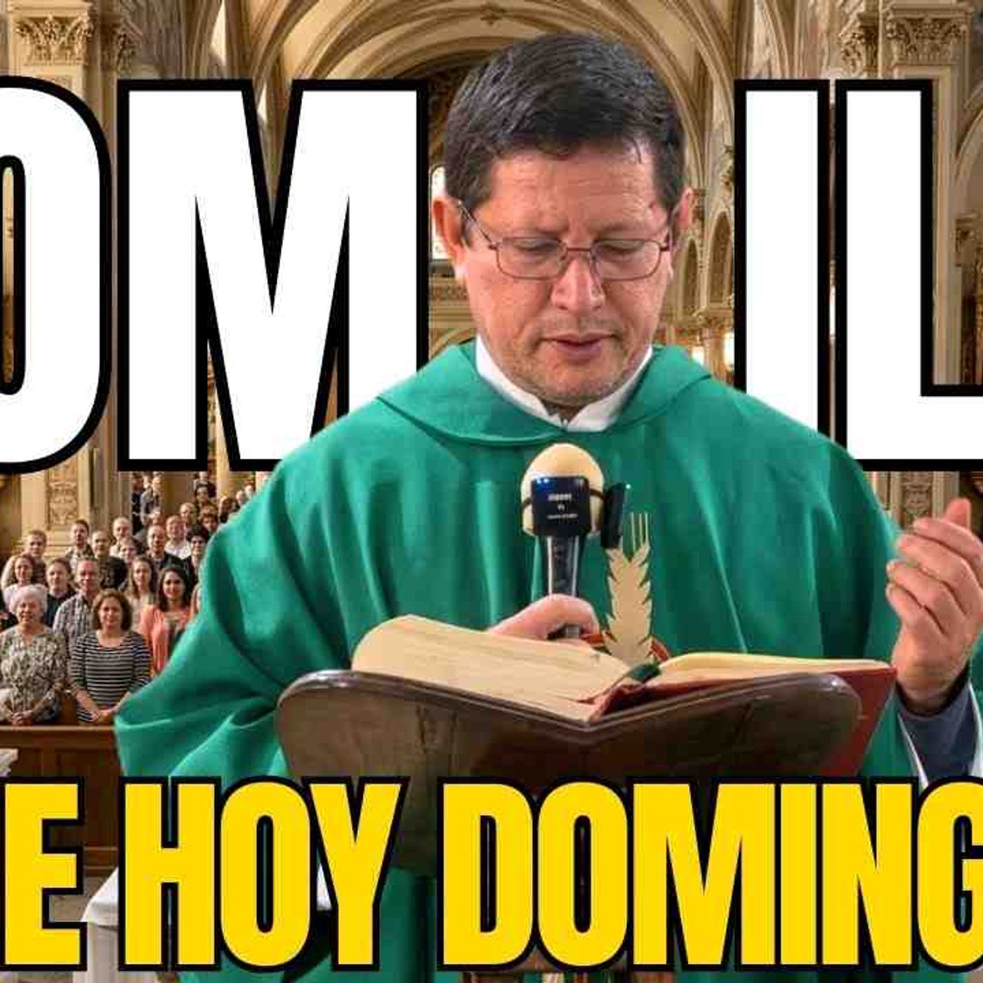 SEÑOR TEN COMPASIÓN DE MI  HOMILÍA DE HOY DOMINGO  PADRE LUIS TORO episode artwork