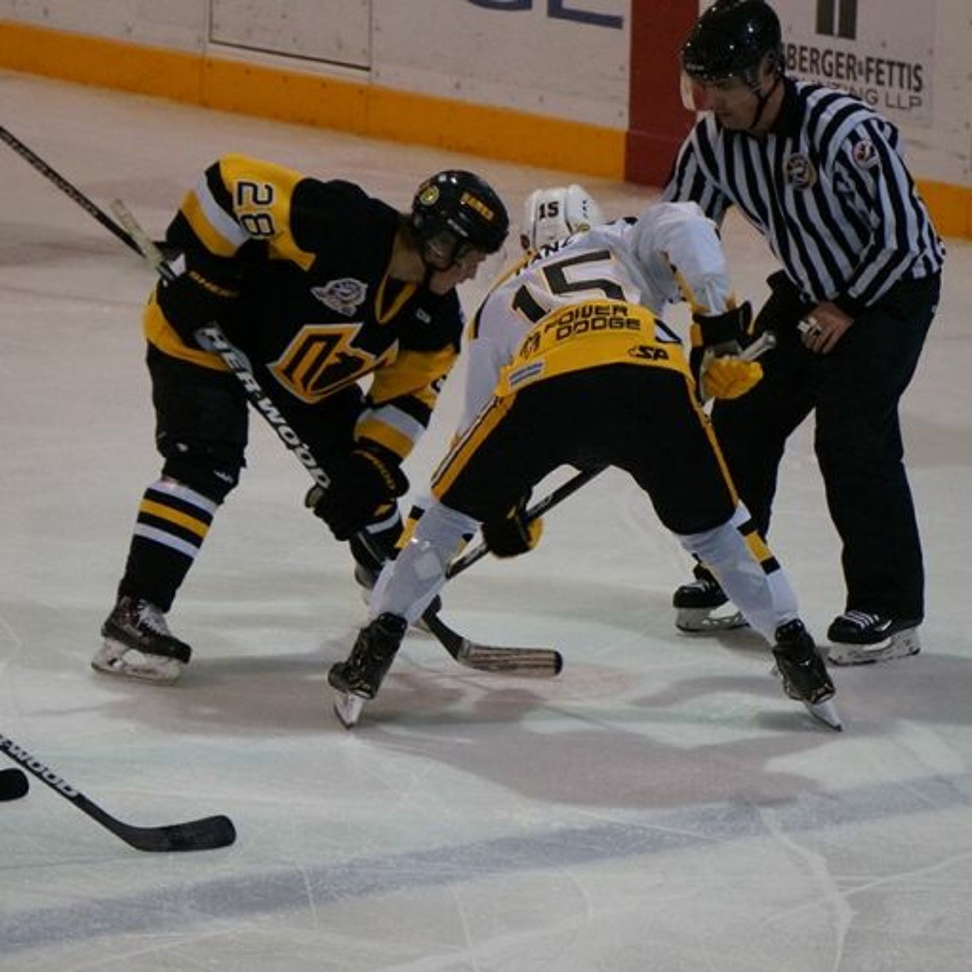 SJHL Reporters