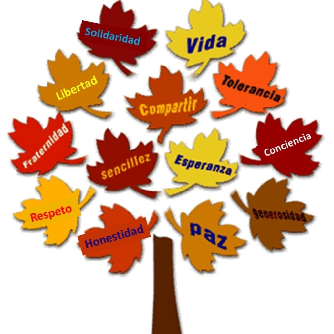 Los valores y su importancia.