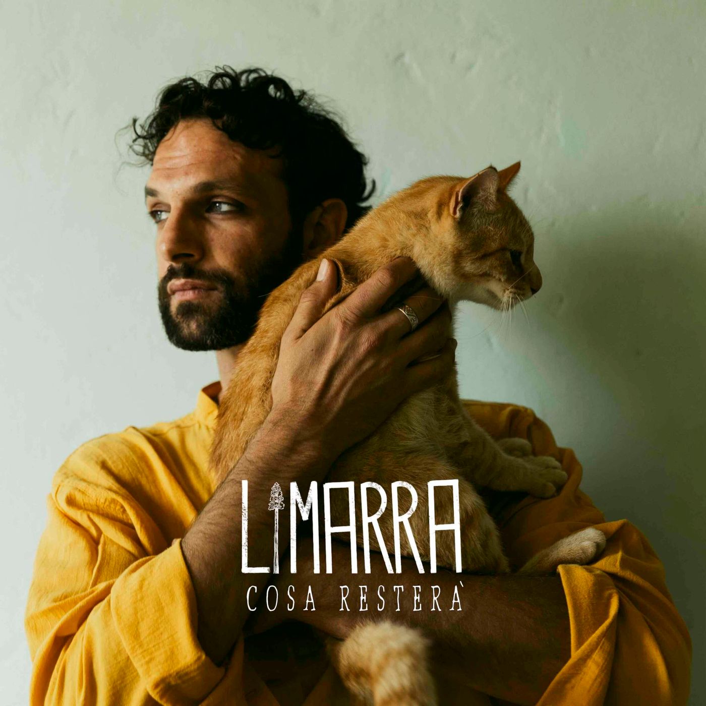 Unplugged Playlist Intervista a Limarra per il singolo Abbi Cura episode artwork