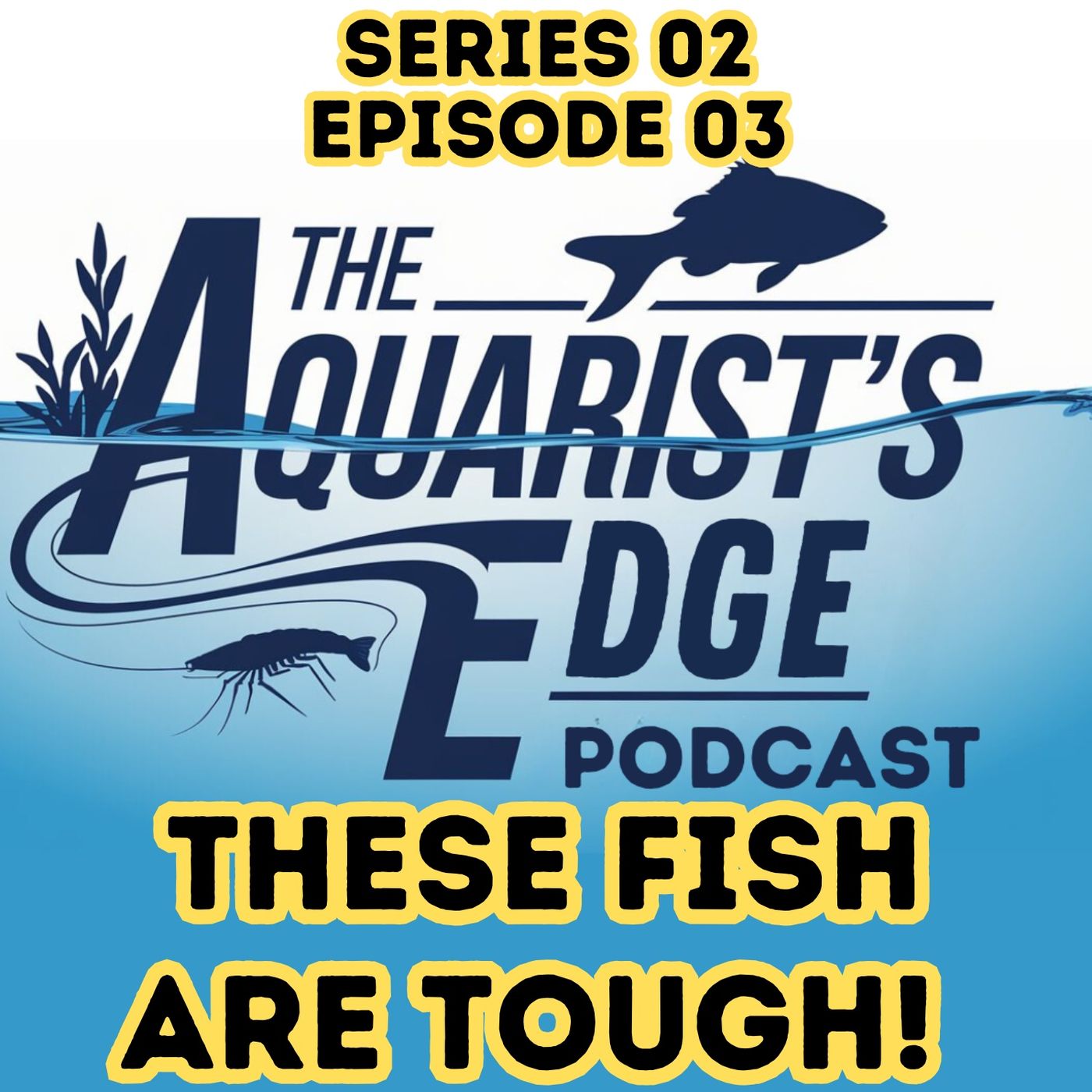 The Aquarist\'s Edge