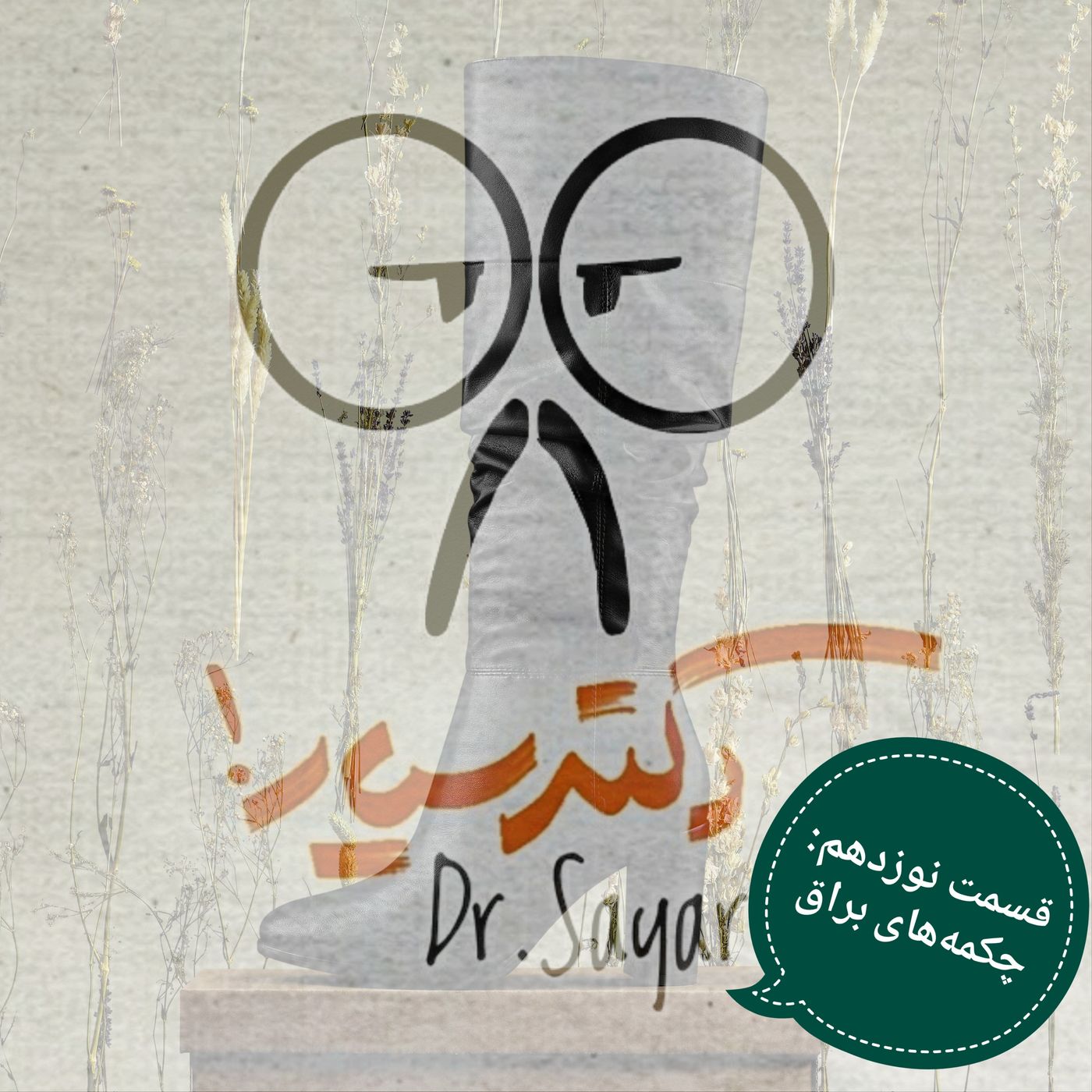 قسمت نوزدهم؛ چکمههای براق (بخش اول) قسمت نوزدهم؛ چکمههای براق (بخش اول)