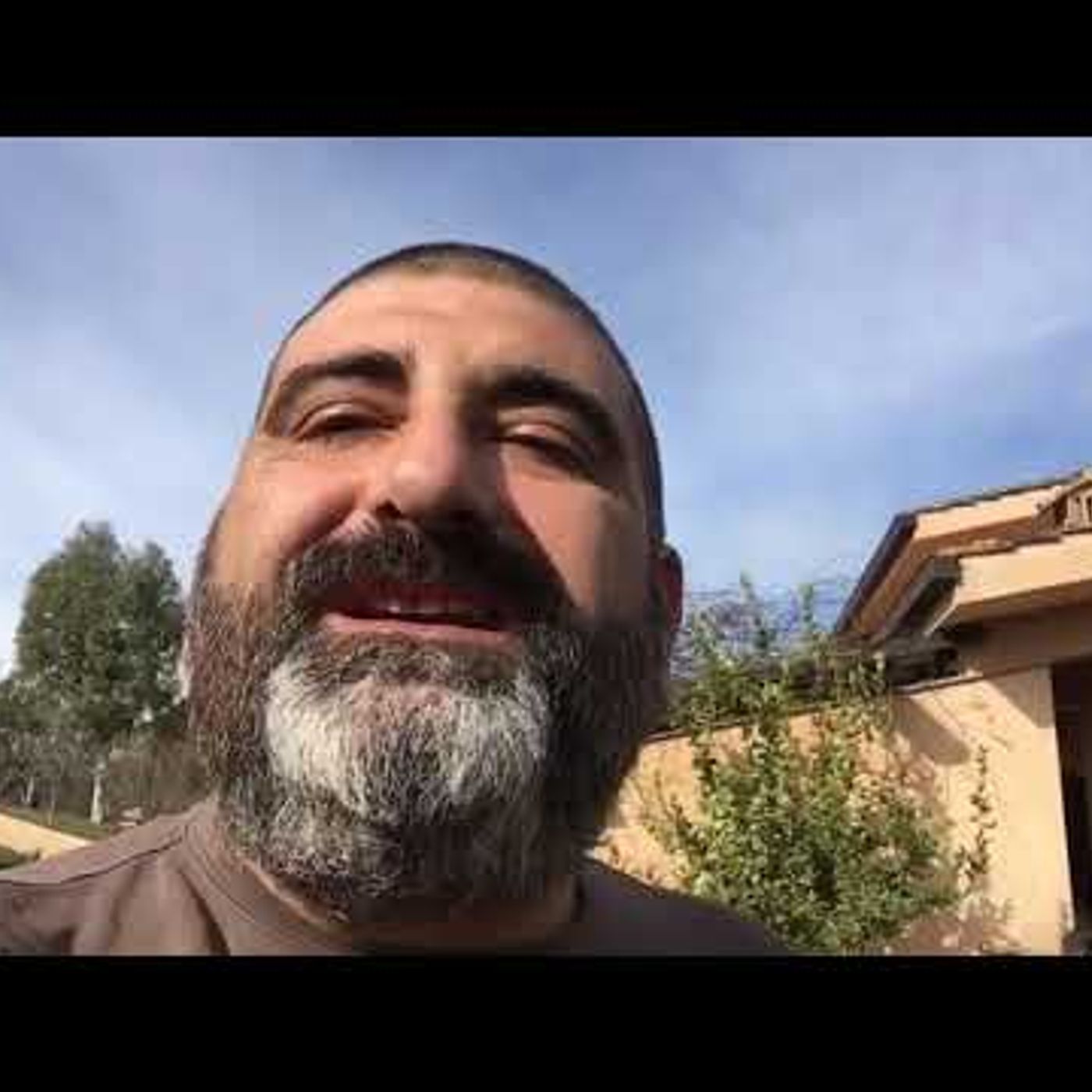 Il lupo e il cane