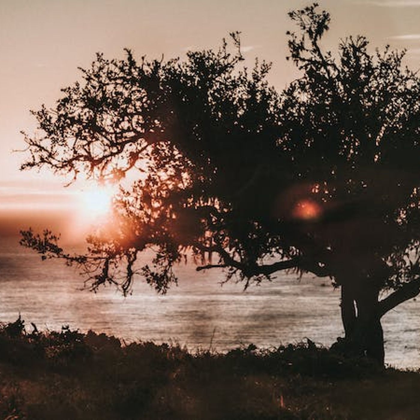 What Do You Say to Evangelicals Who Affirm So-Called ‘Same-Sex Marriage’?