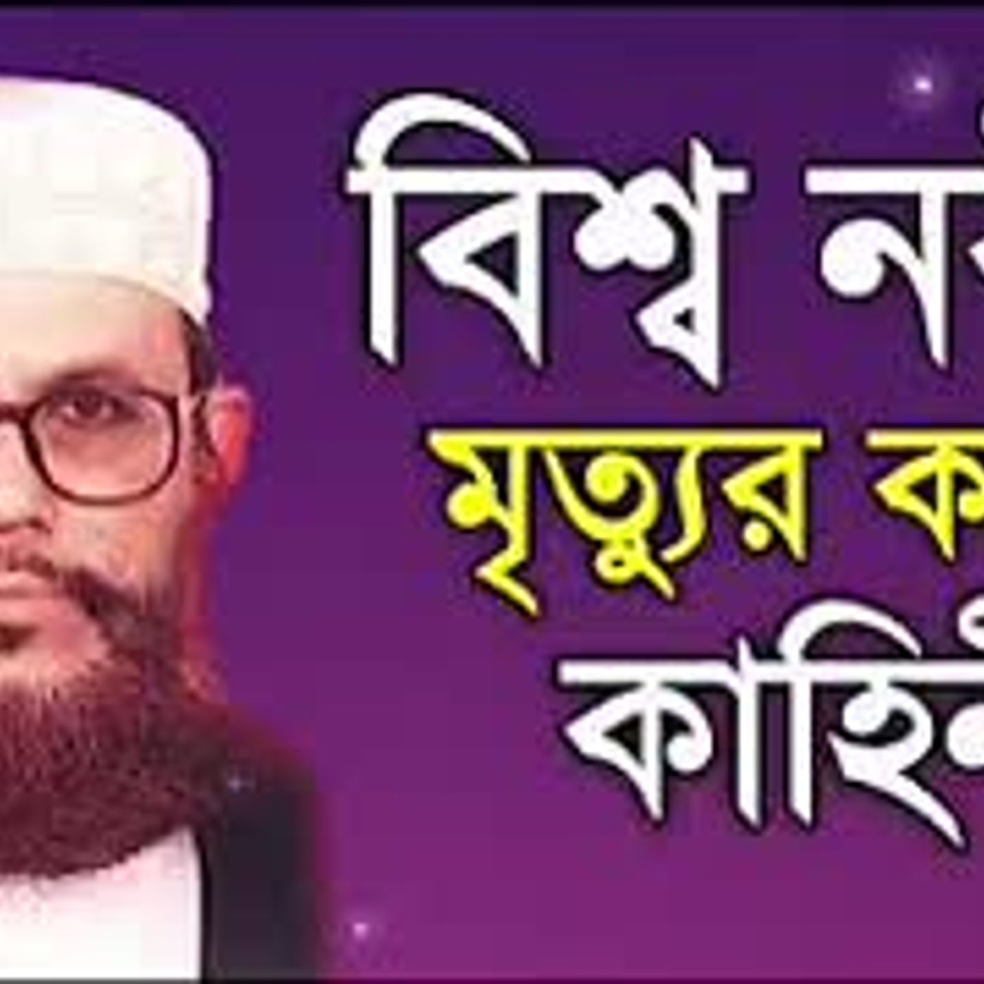 বিশ্ব নবীর মৃত্যুর করুন ঘটনা  মাওলানা দেলোয়ার হোসেন সাঈদী episode artwork