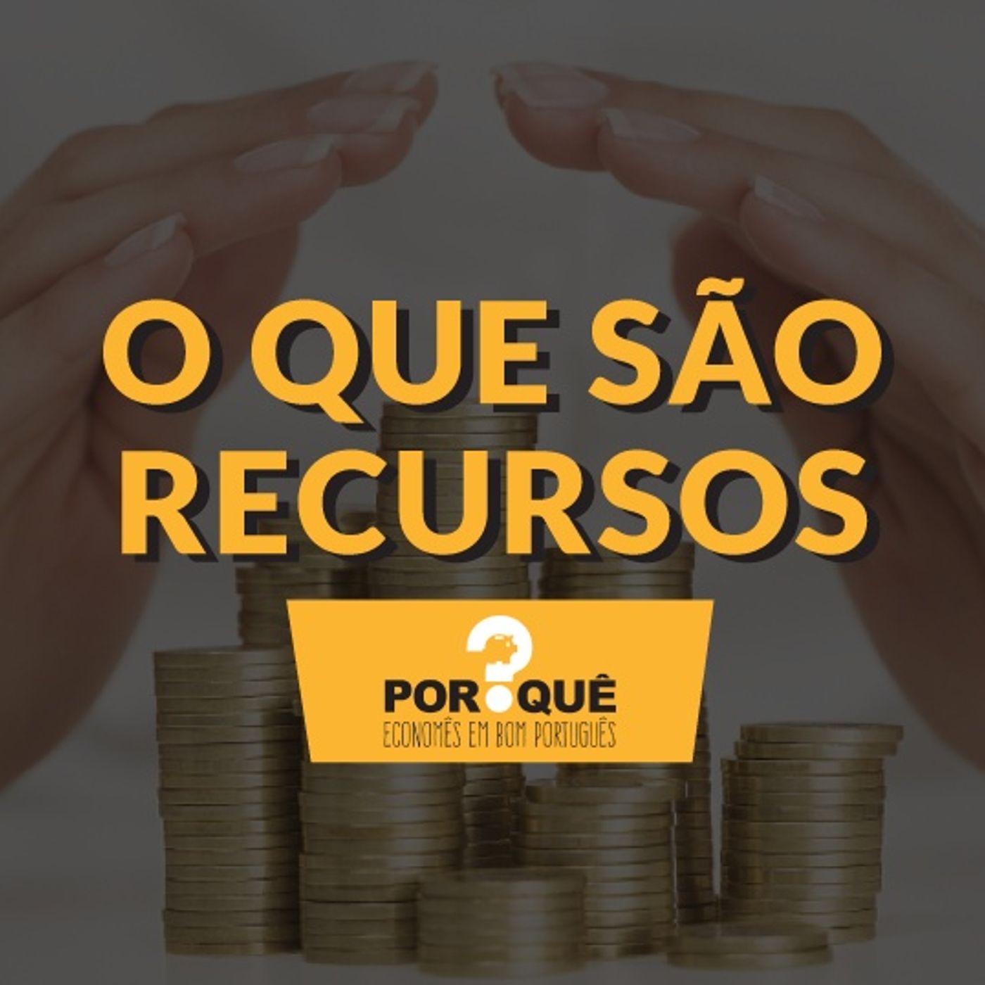 #053 - O que são recursos?