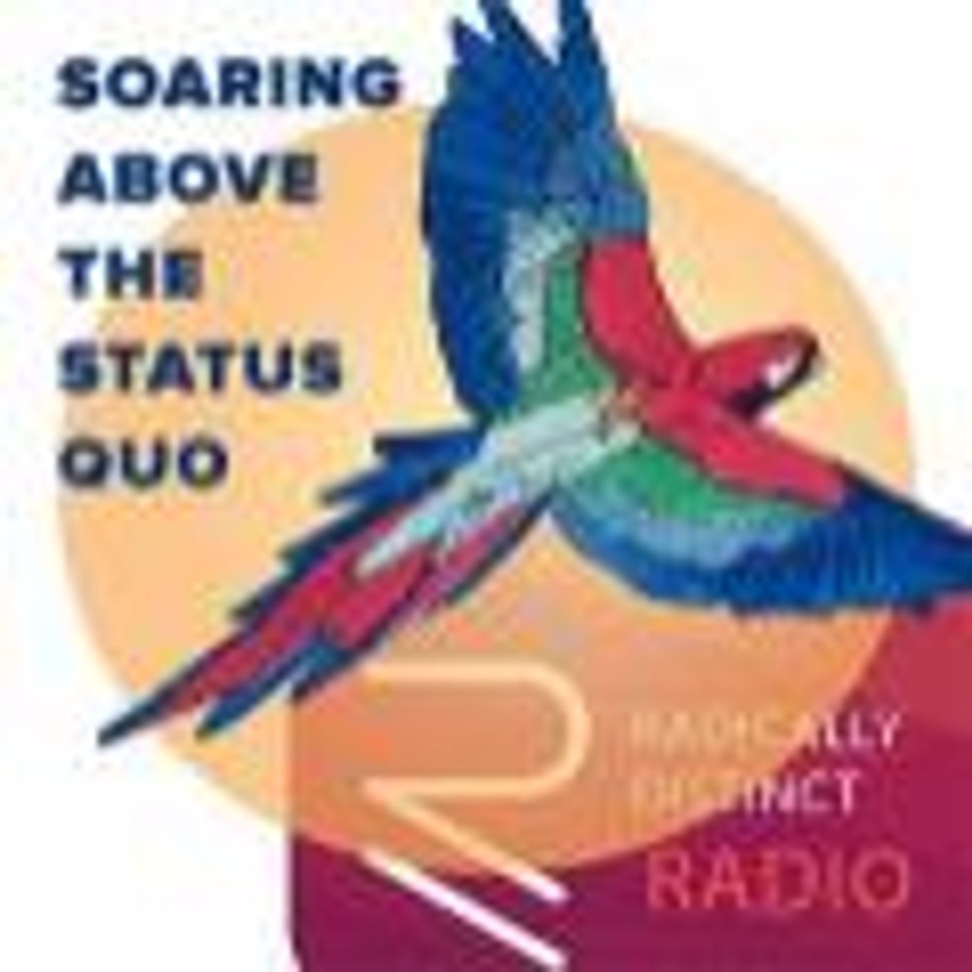 Radically Distinct Radio