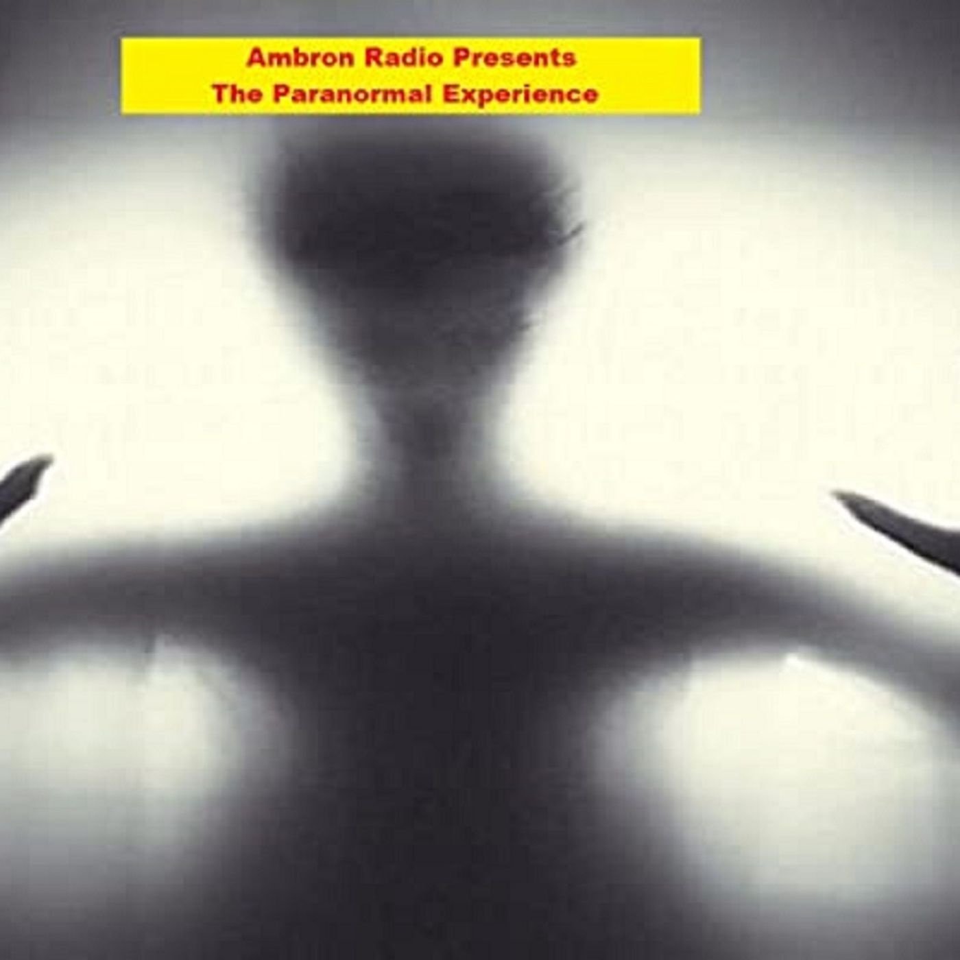 The Paranormal Experience