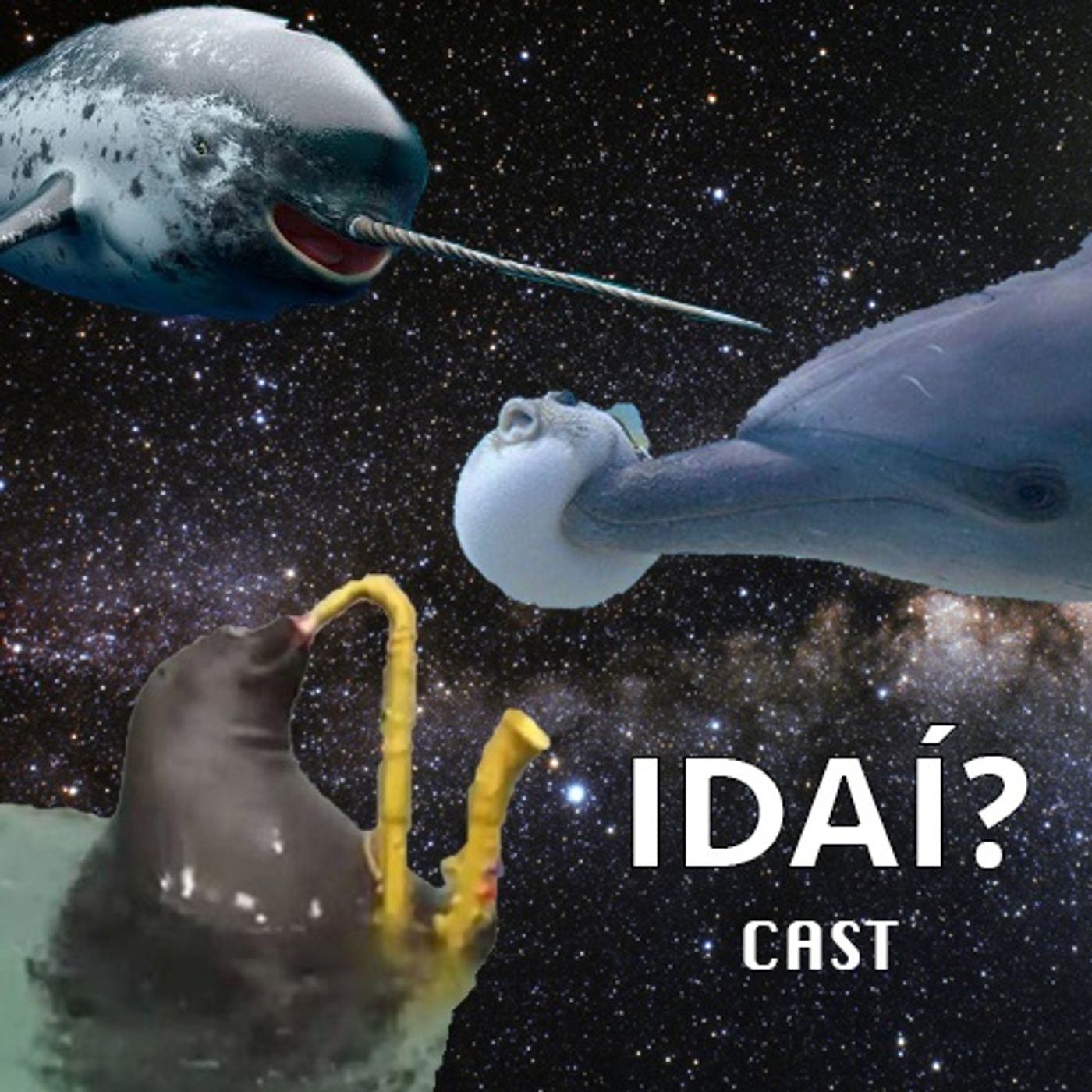 Idaí?cast