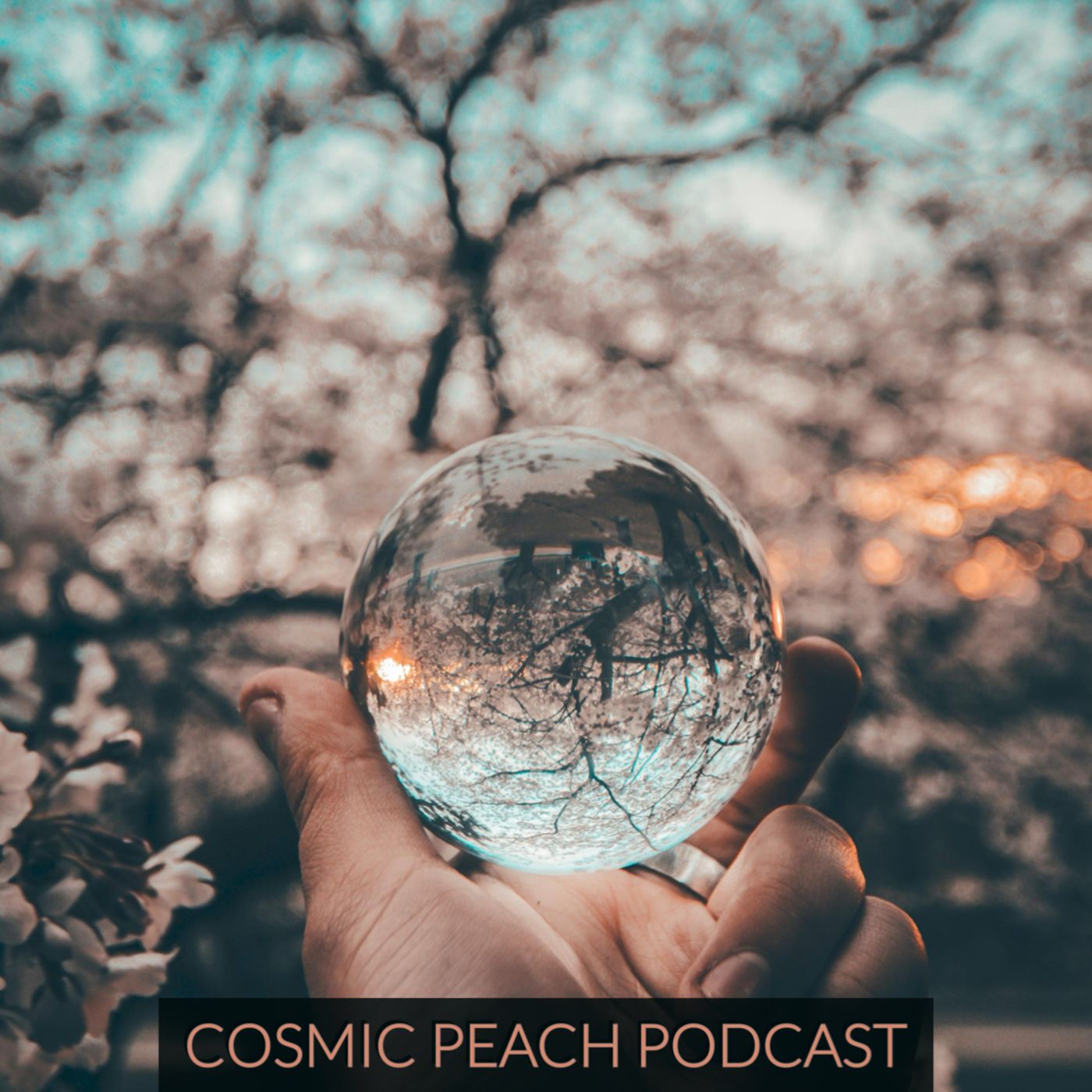 Mediumship & Spirit (Feat. Whitney Fox 🦊)