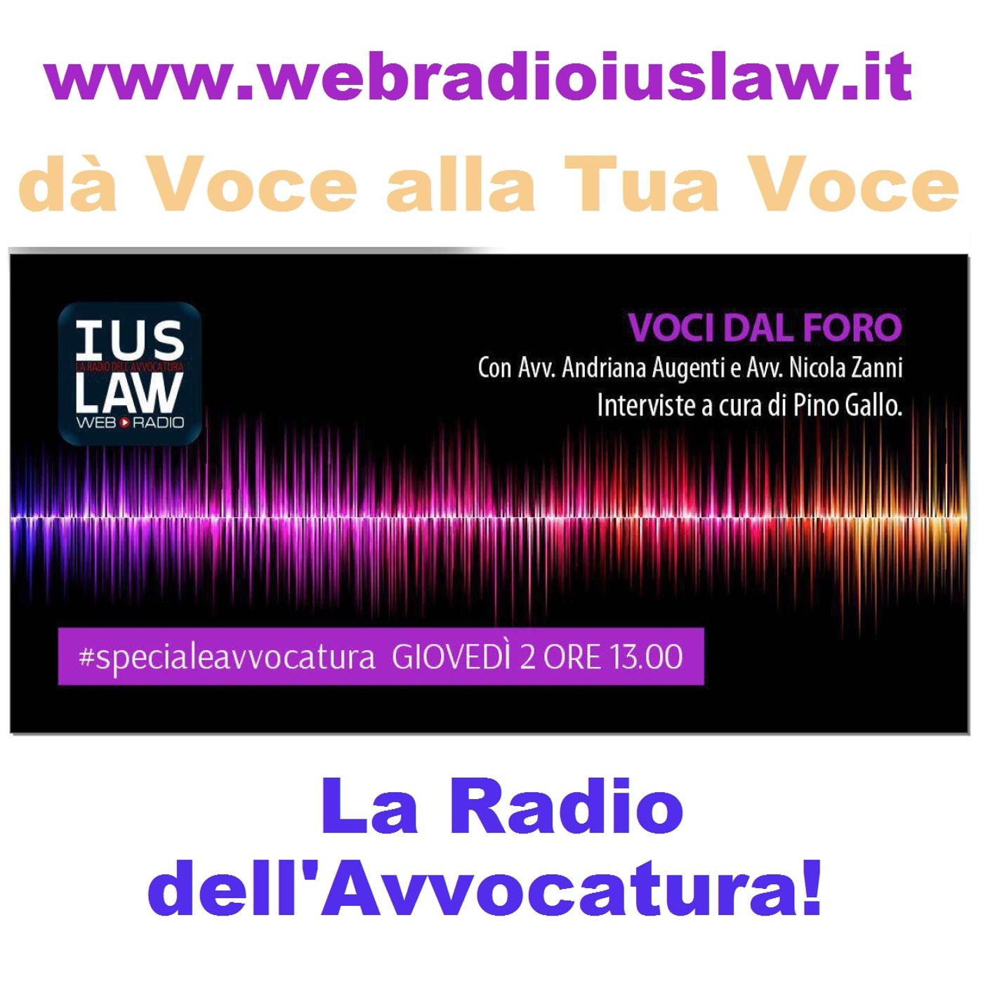 Voci dal Foro - Avv. Adriana Augenti e Avv. Nicola Zanni - 02.02.2017 episode artwork