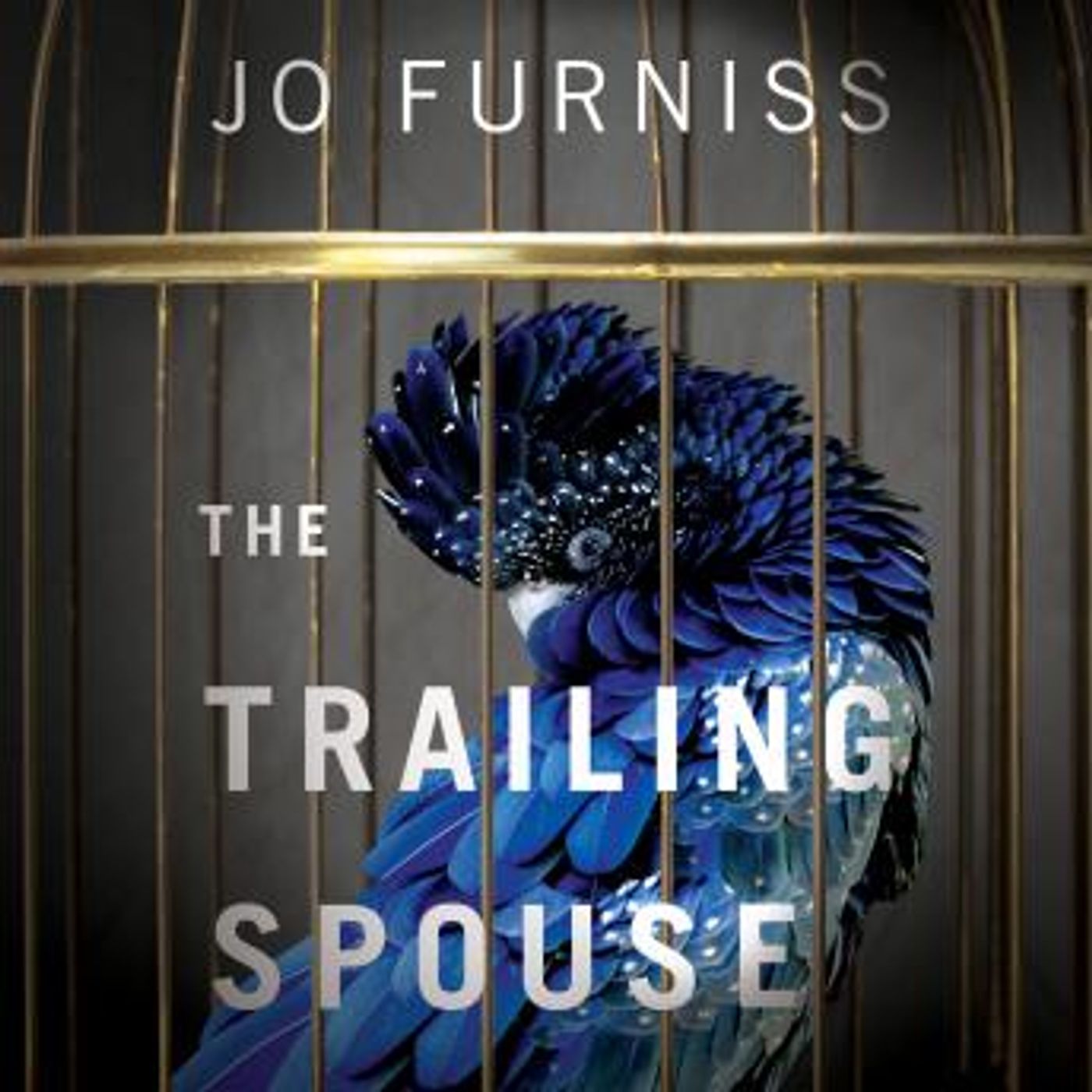 Access Top-Rated Full Audiobooks in Fiction, Contemporary Women