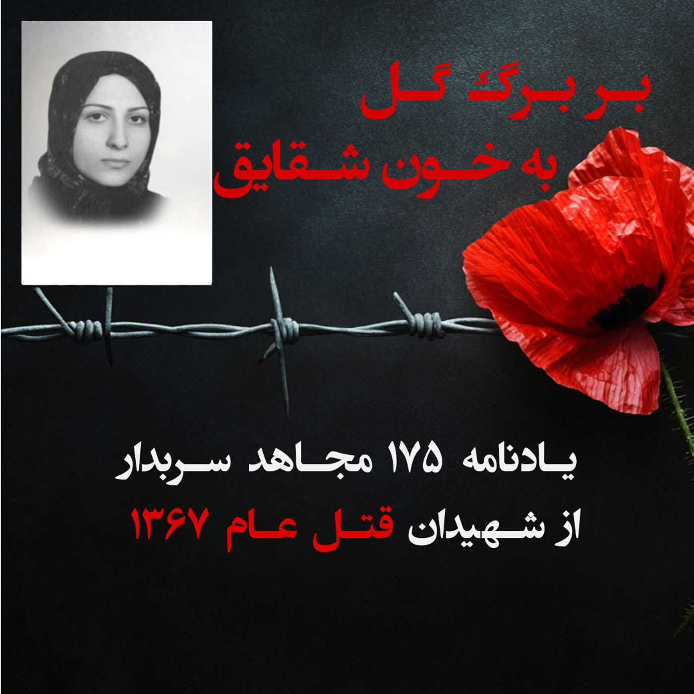 بربرگ گل به خون شقایق- حوریه رمضانی نژاد episode artwork