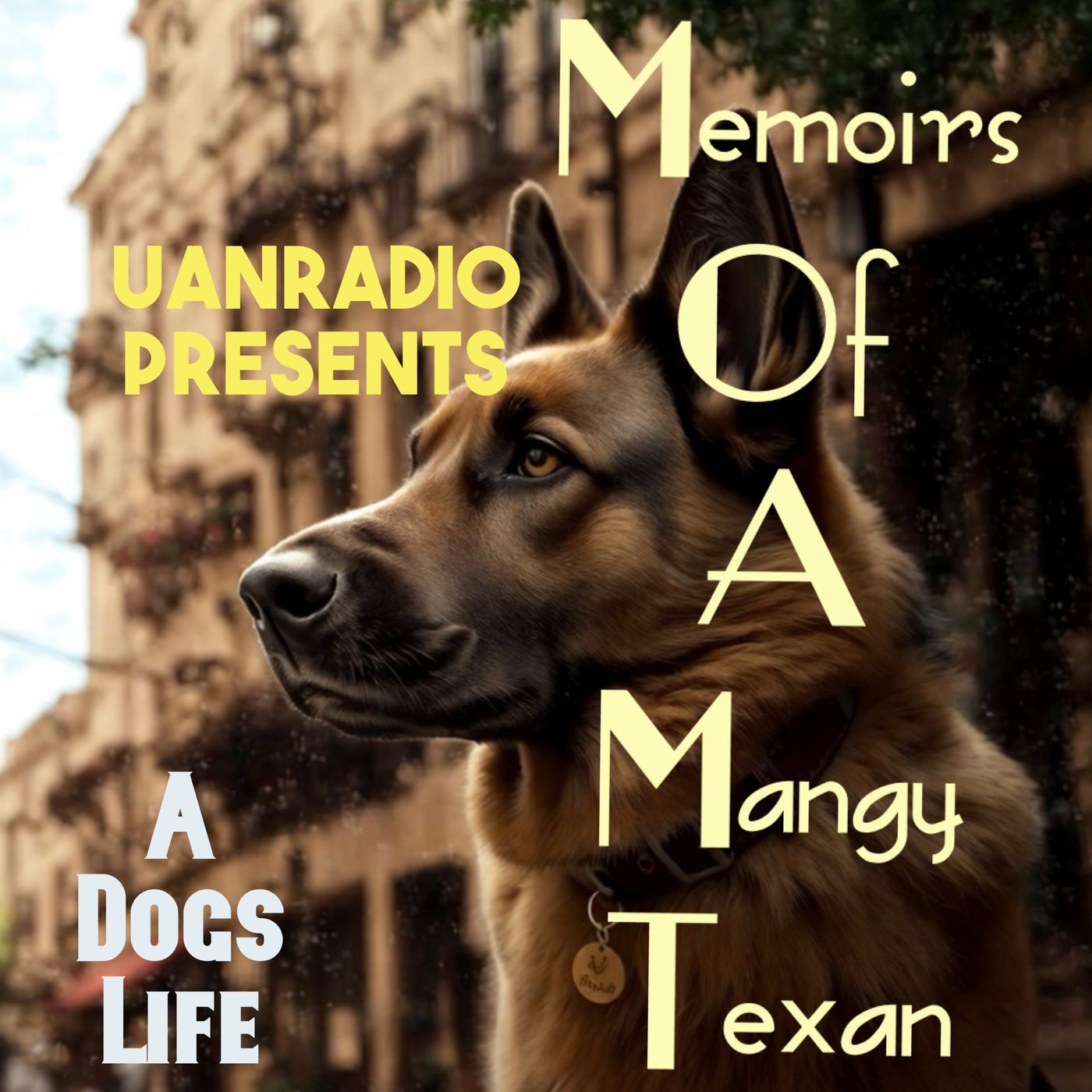 Memoirs Of A Mangy Texan podcast artwork