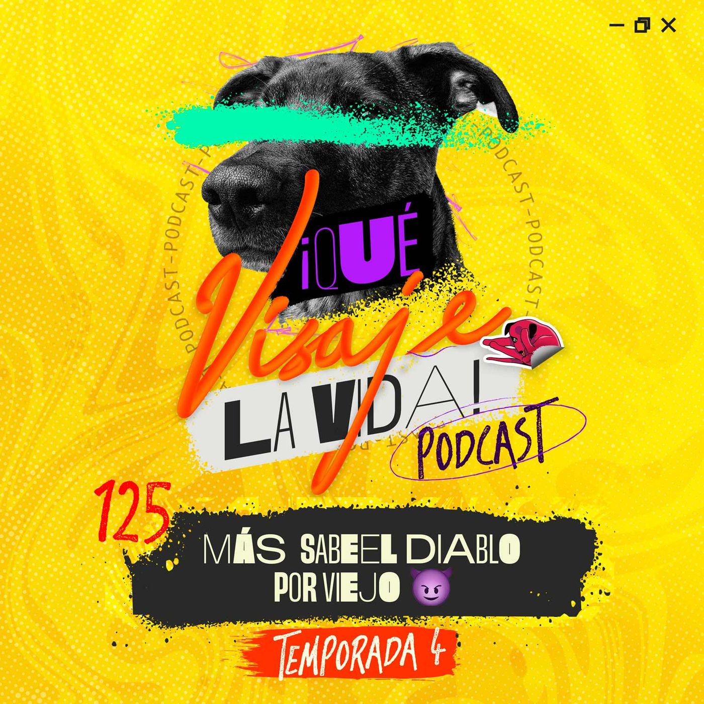 Perro viejo, tose acostado