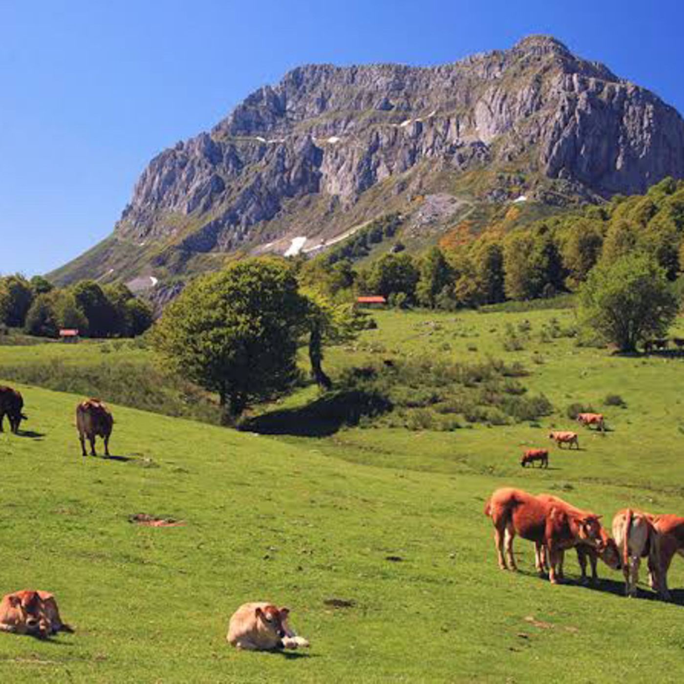 Aventuras del trueno del toro miura N-4