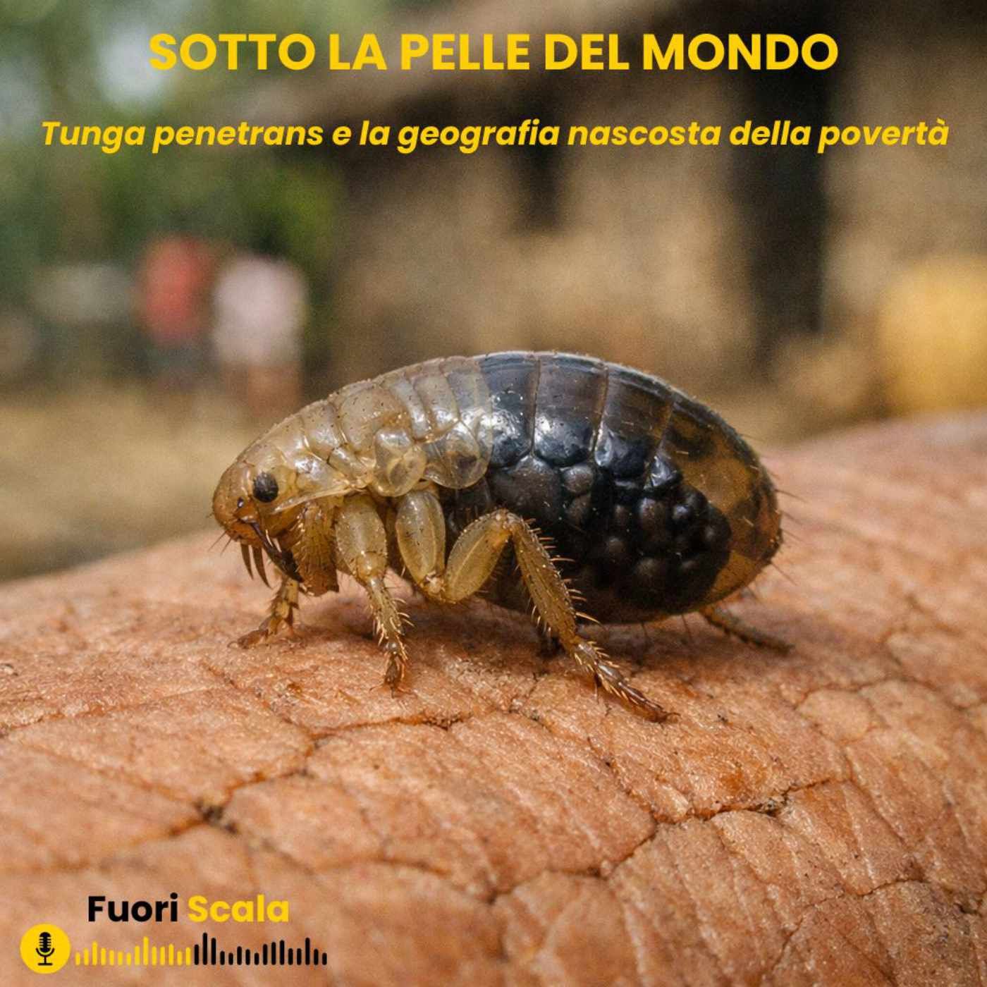 Fuori Scala #39 👣 Sotto La Pelle del Mondo episode artwork