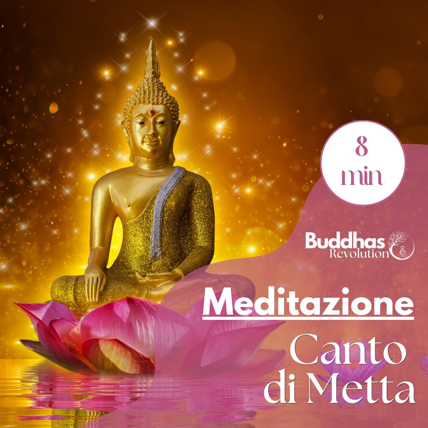 Buddhas Revolution