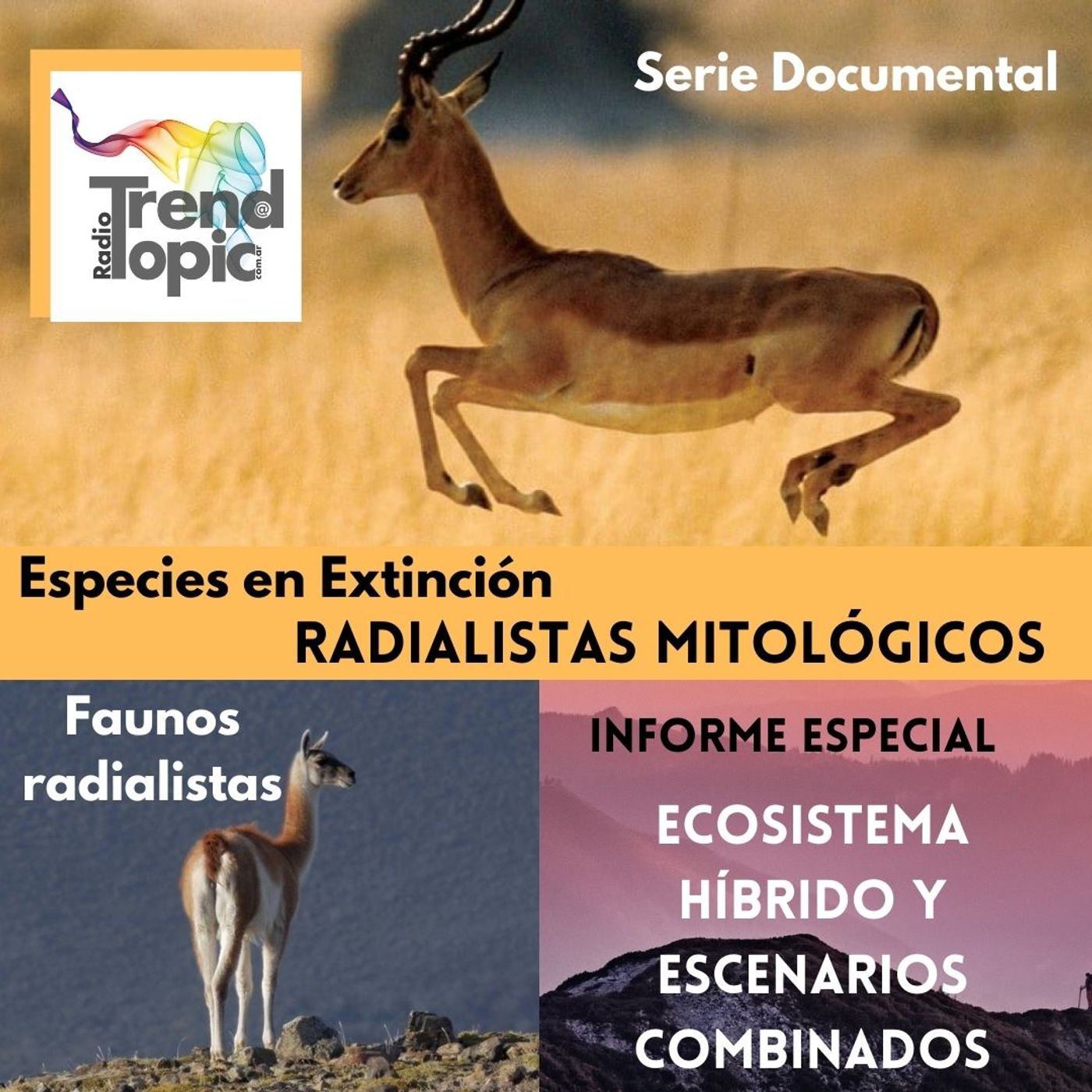 Radialistas Mitológicos - Serie Documental