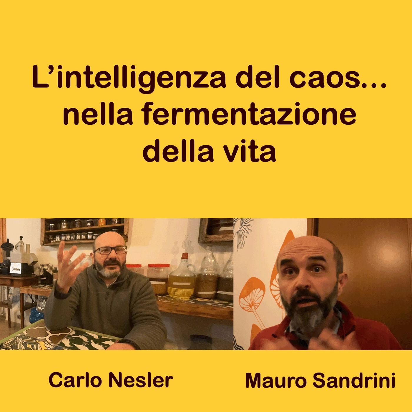 Eliminare il Caos