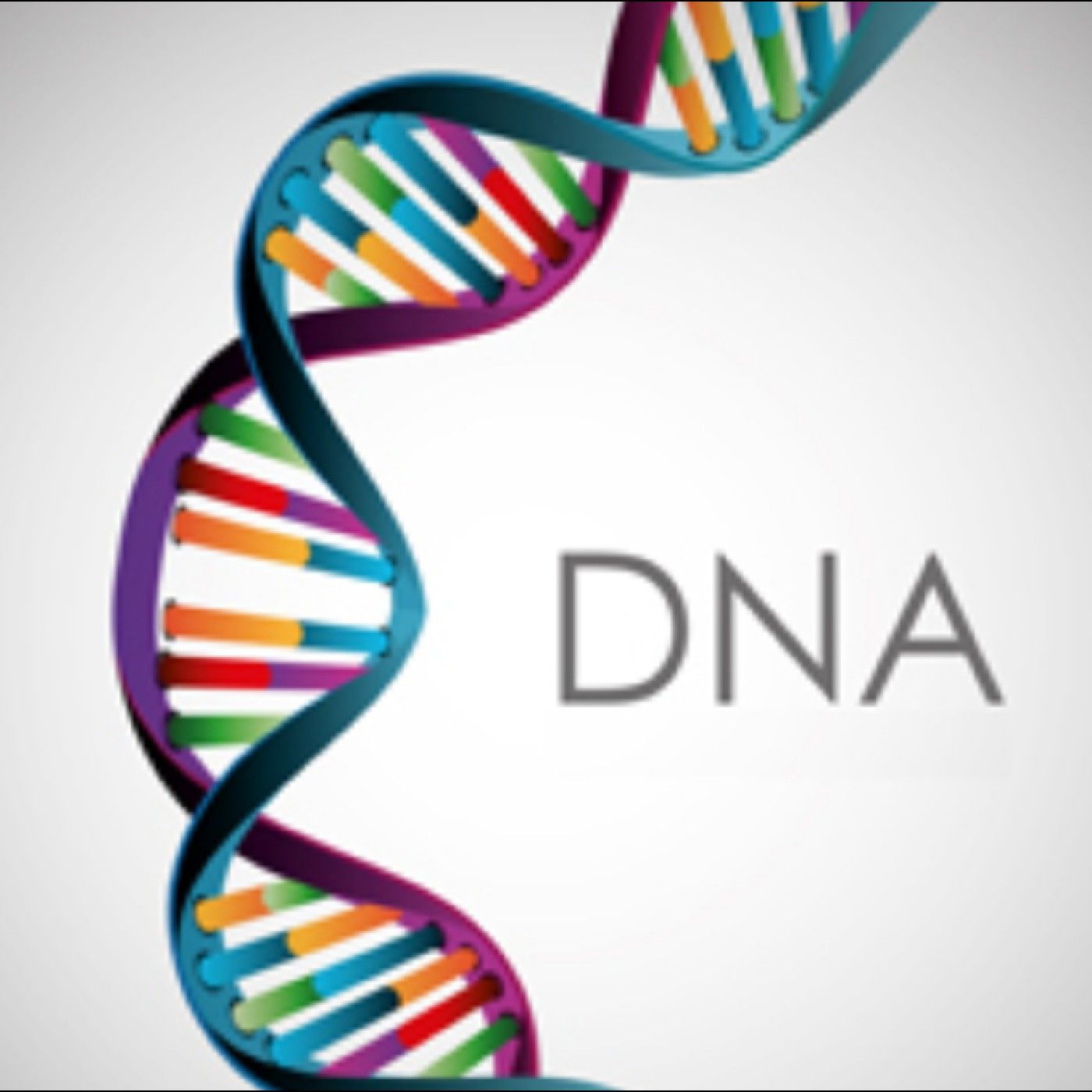 Il DNA podcast artwork