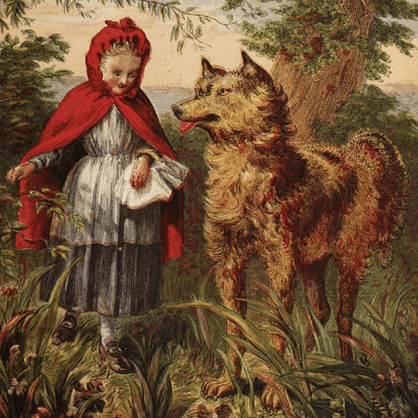 Le petit chaperon rouge | Contes De Loups episode artwork