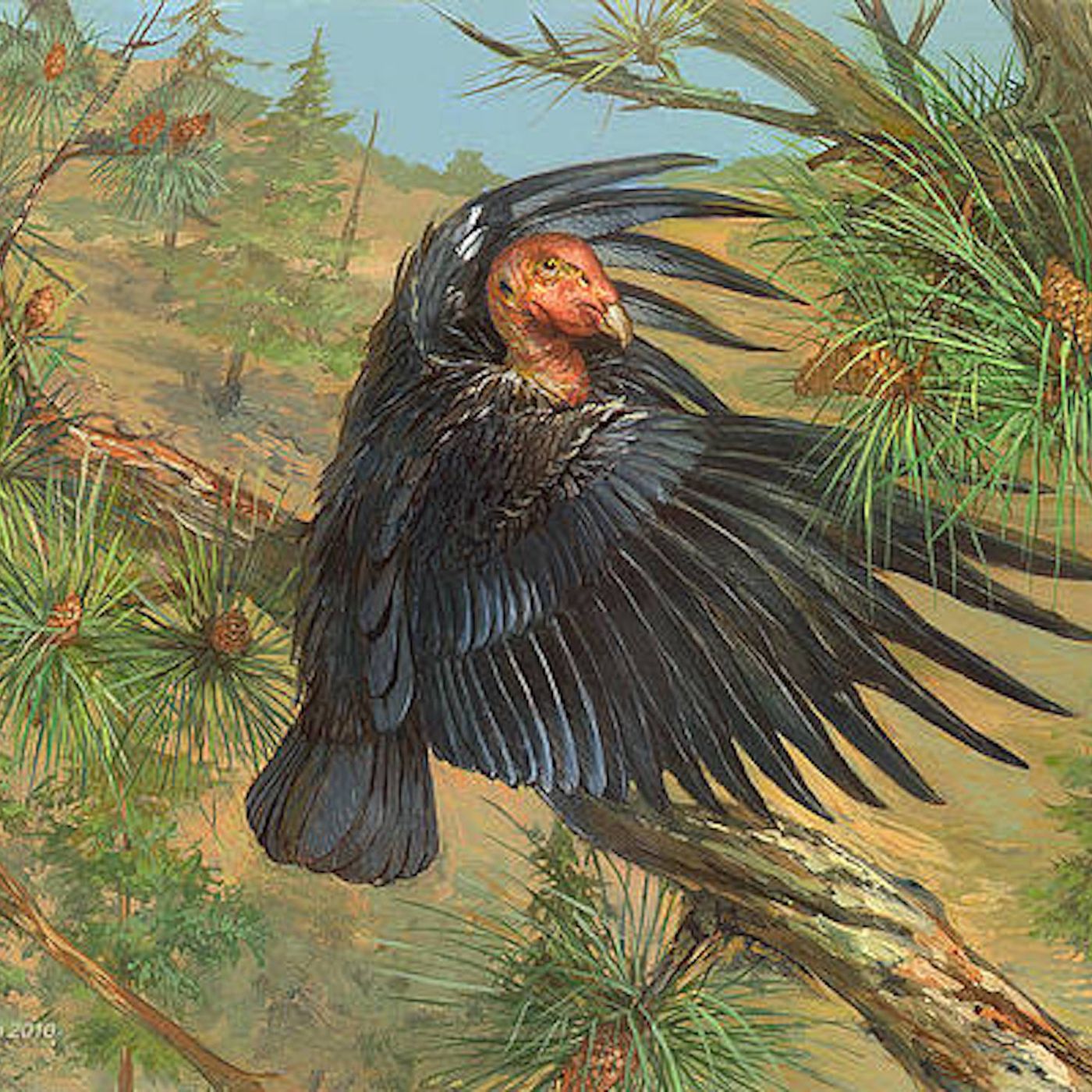 The Weekly Inspiration - The Condor episode artwork