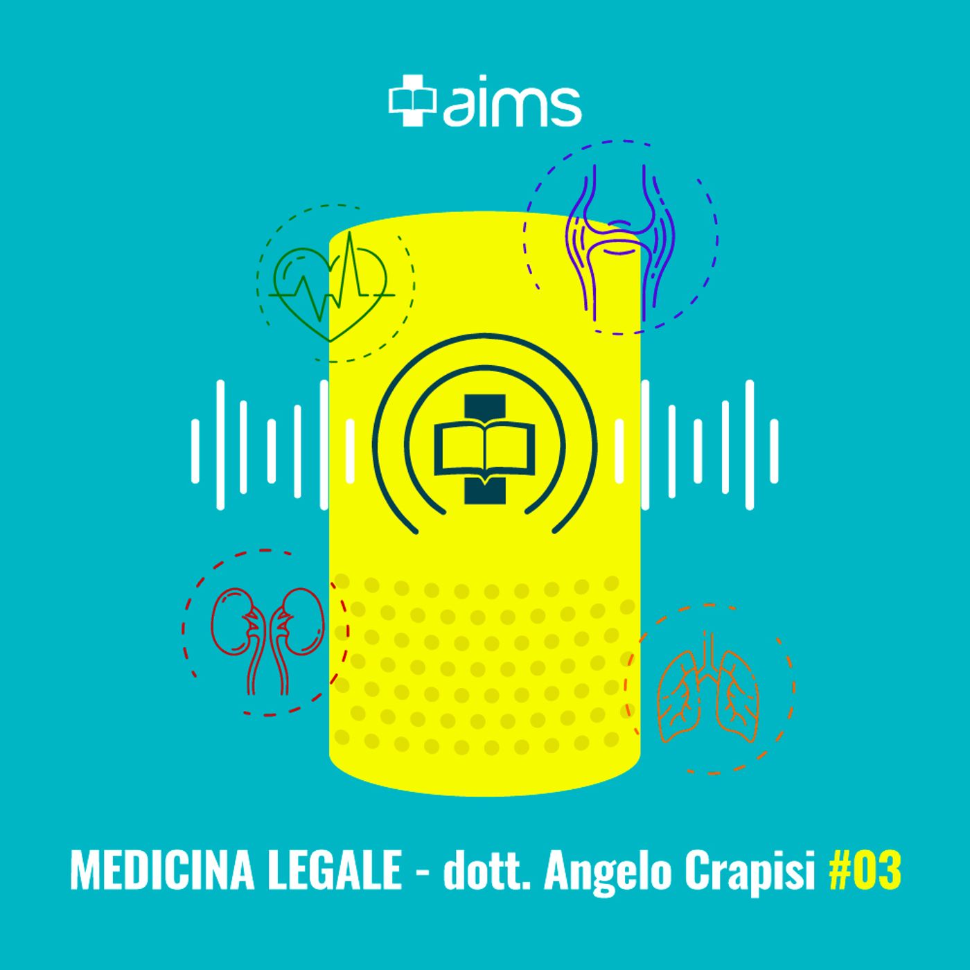 #03 - Referto e rapporto